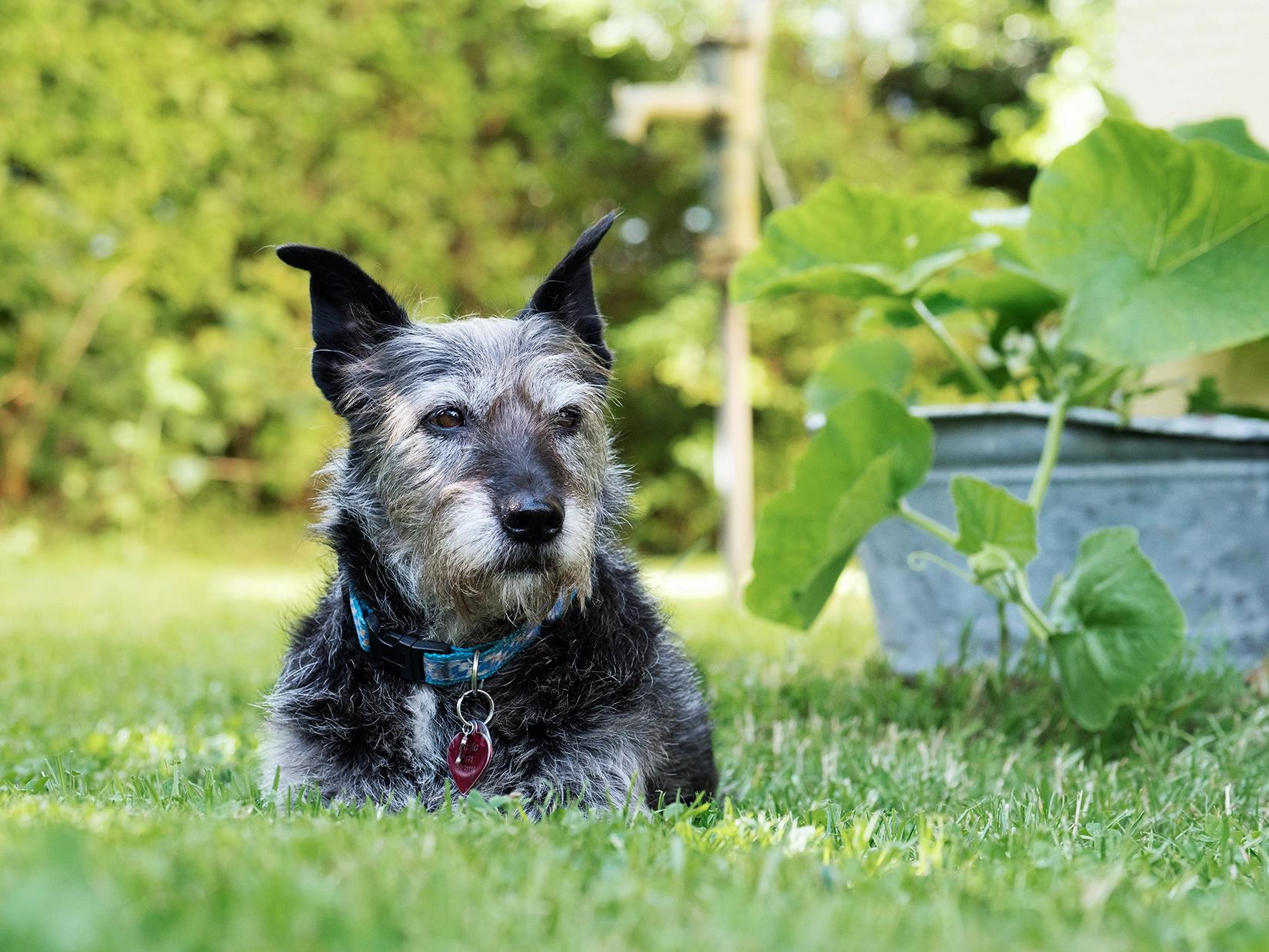 Panasonic Leica DG Nocticron 42.5mm F1.2 ASPH OIS sample photo. Good mornig world photography