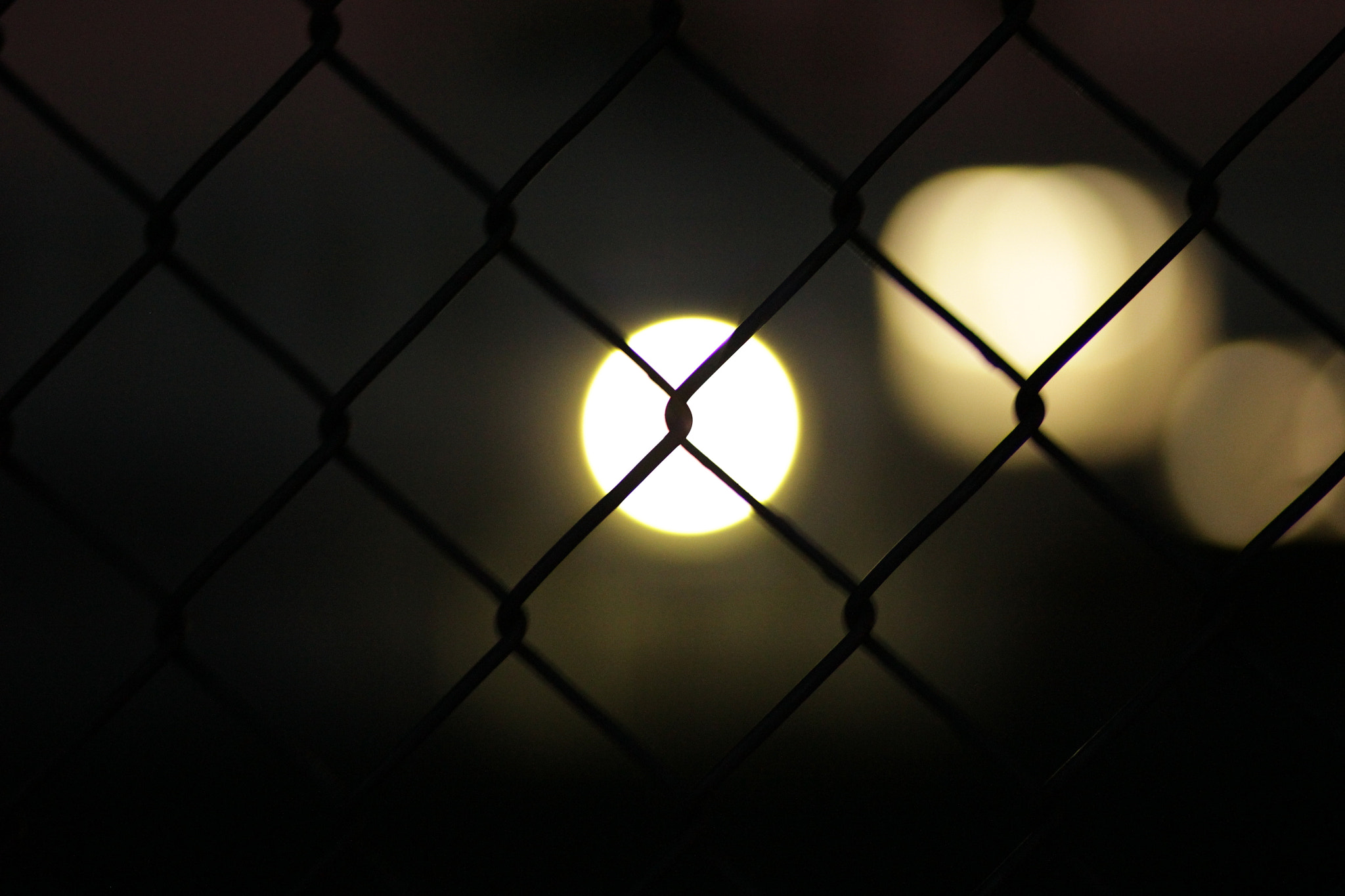 Canon EF 85mm F1.8 USM sample photo. Fence in shallow focus photography