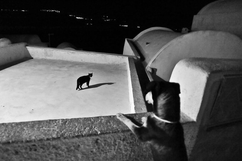 Nikon D700 + Nikon AF Nikkor 20mm F2.8D sample photo. Catch me if you can - santorini, greece photography