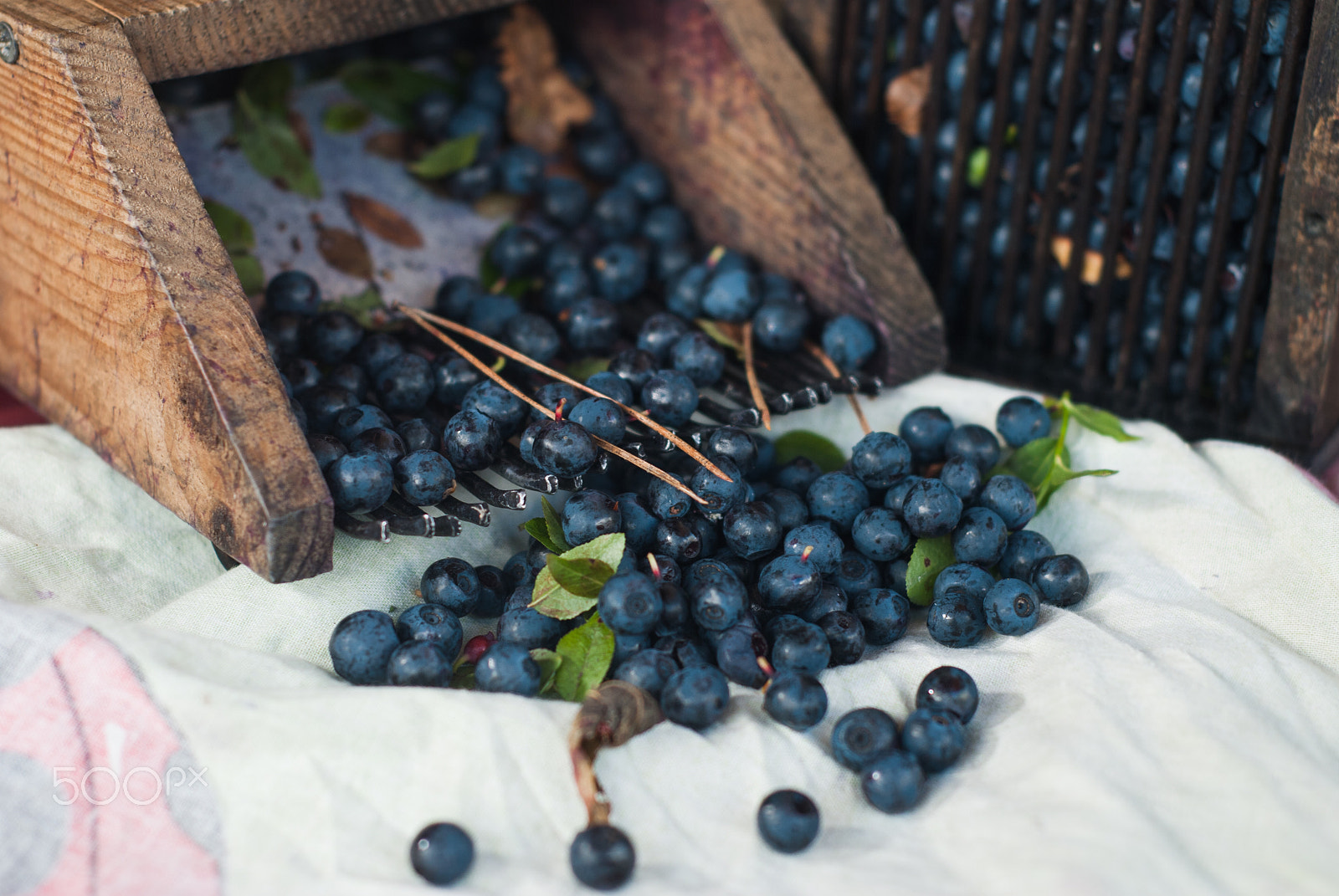 AF Nikkor 50mm f/1.8 N sample photo. Vintage wooden combs used for collecting blueberries photography