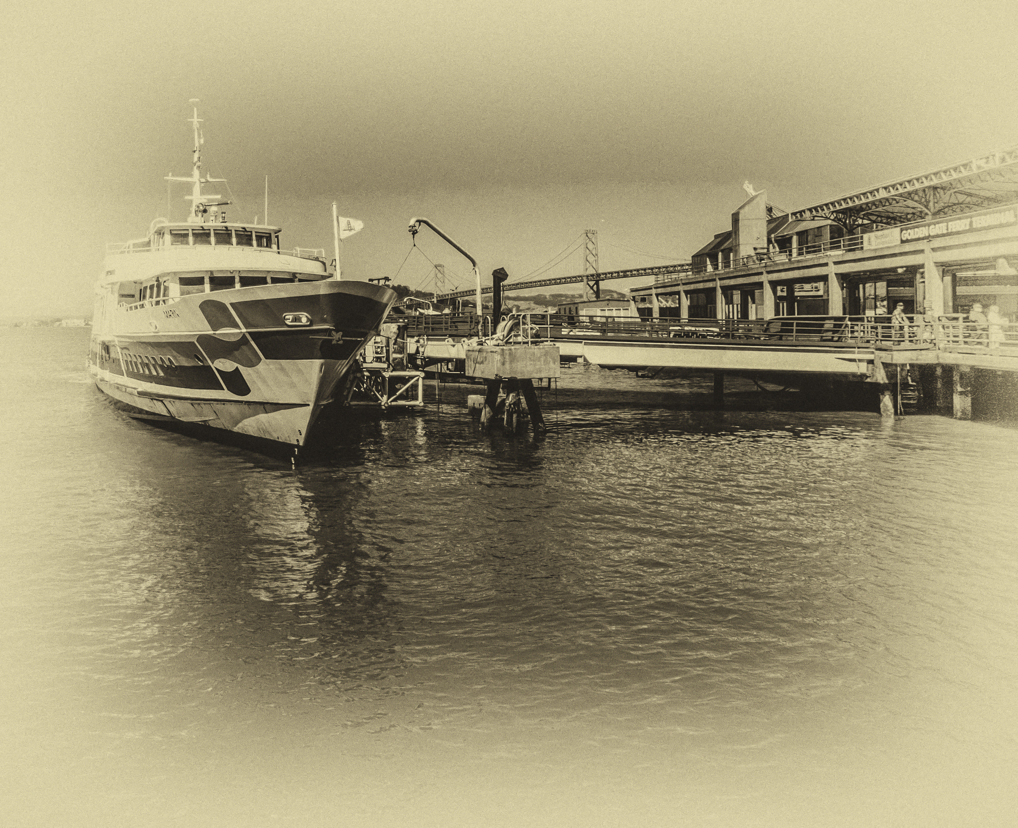 Nikon D810 + Nikon AF Fisheye-Nikkor 16mm F2.8D sample photo. Bay area ferry photography