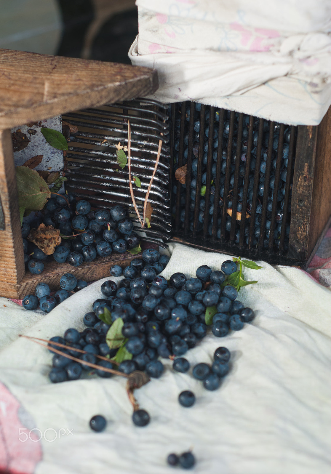 Nikon D80 + AF Nikkor 50mm f/1.8 N sample photo. Vintage wooden combs used for collecting blueberries photography