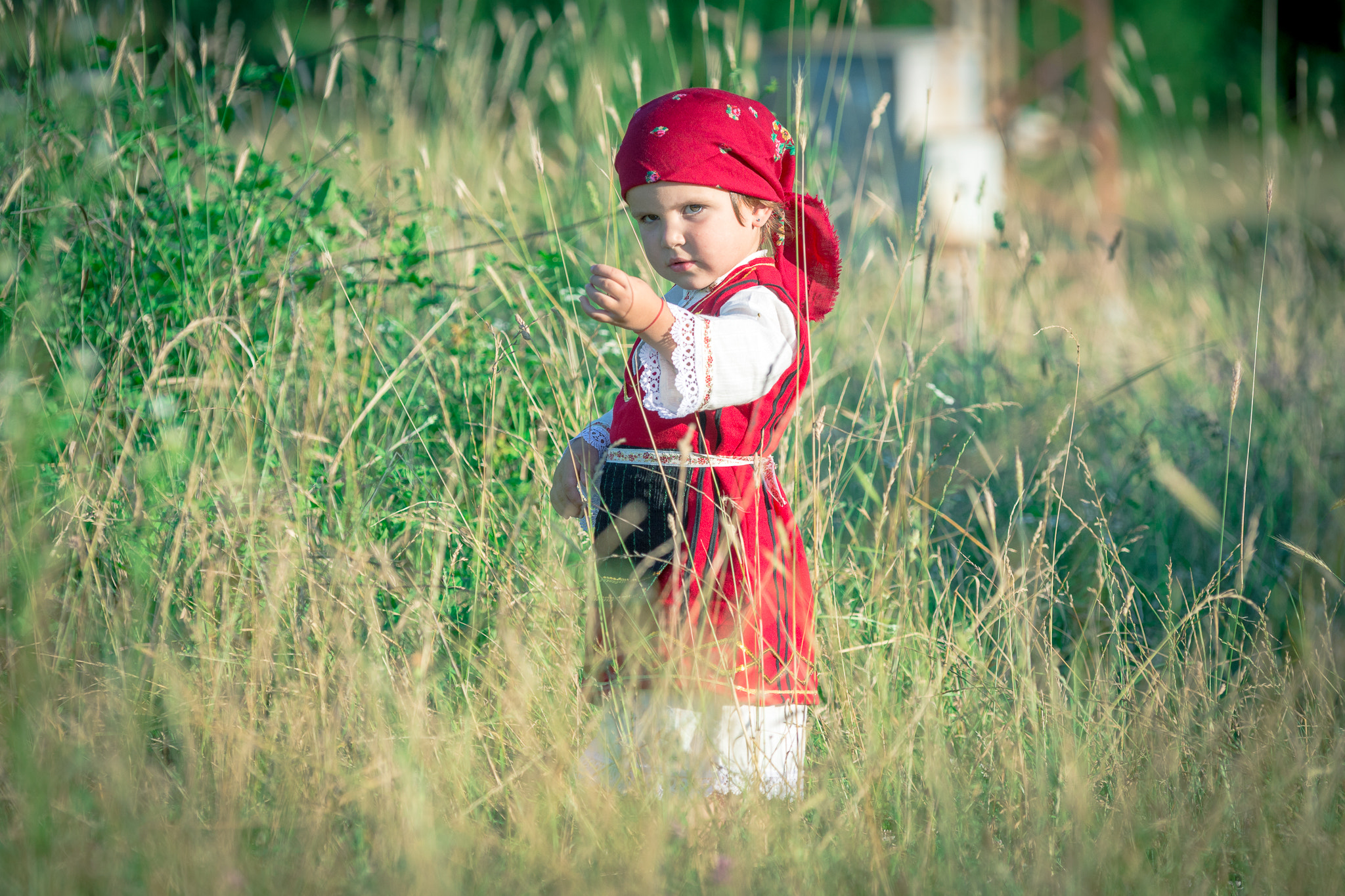 Sigma 50-150mm F2.8 EX APO DC OS HSM sample photo. That look... photography
