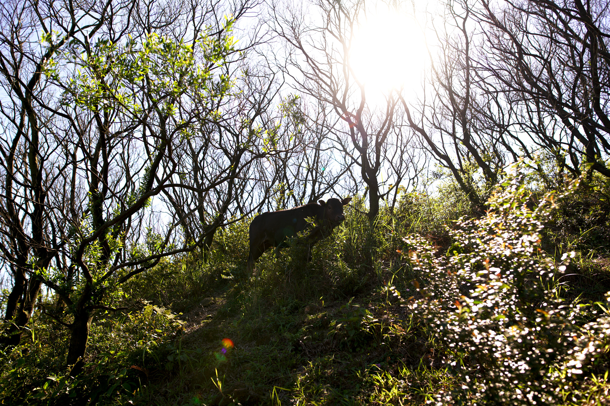 24mm F1.4 sample photo. Another side of the 'concrete jungle'. photography