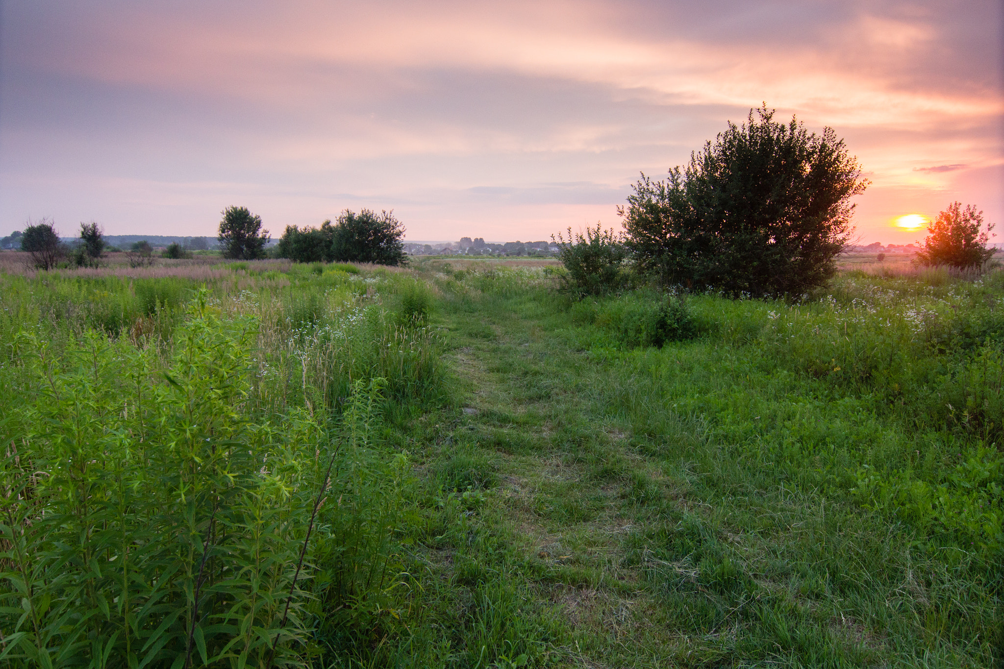 Tokina AT-X 12-28mm F4 Pro DX sample photo. Just another summer sunset photography