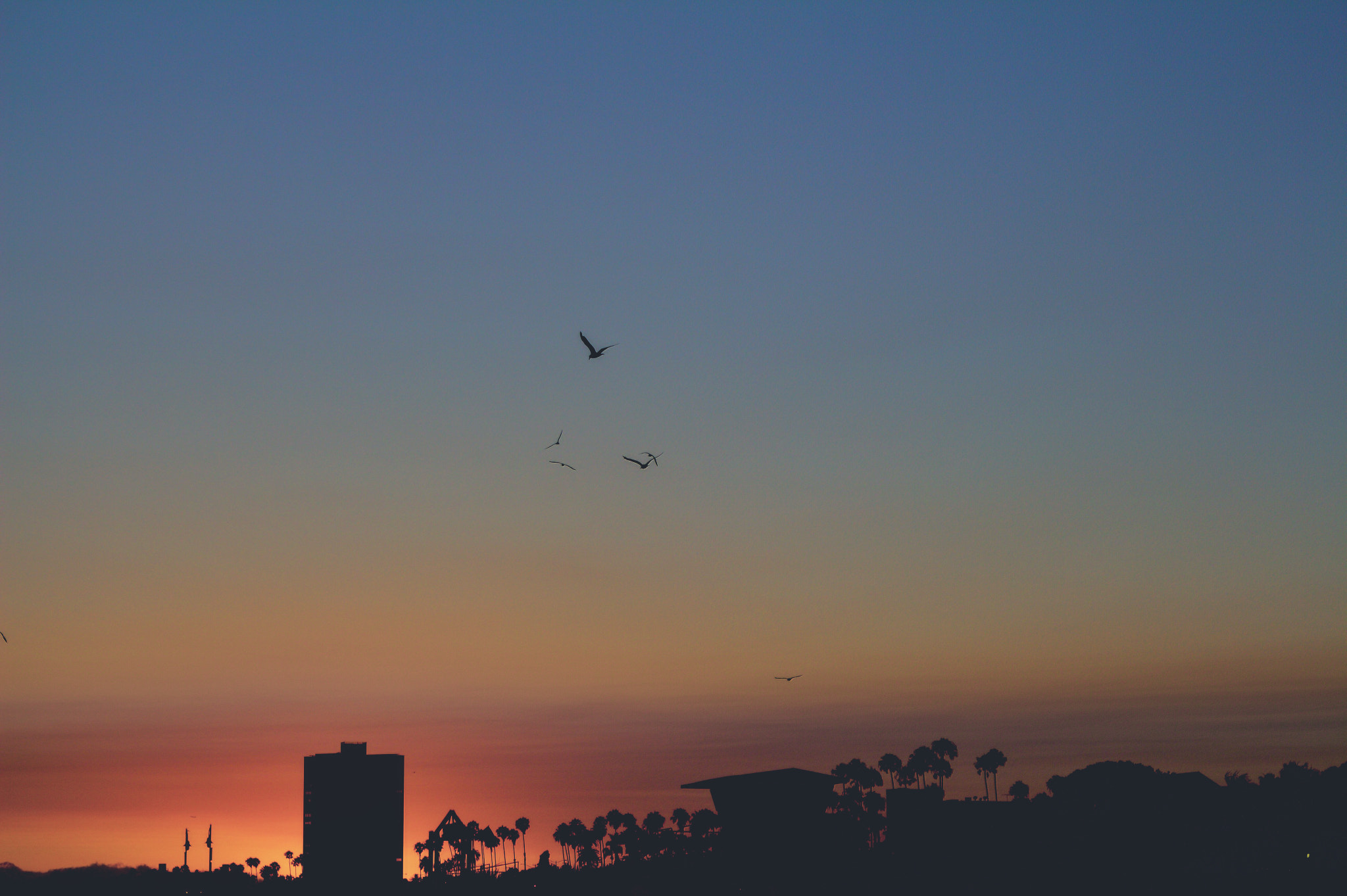 Canon EOS 650D (EOS Rebel T4i / EOS Kiss X6i) + Canon EF 50mm F1.8 II sample photo. Long beach. photography