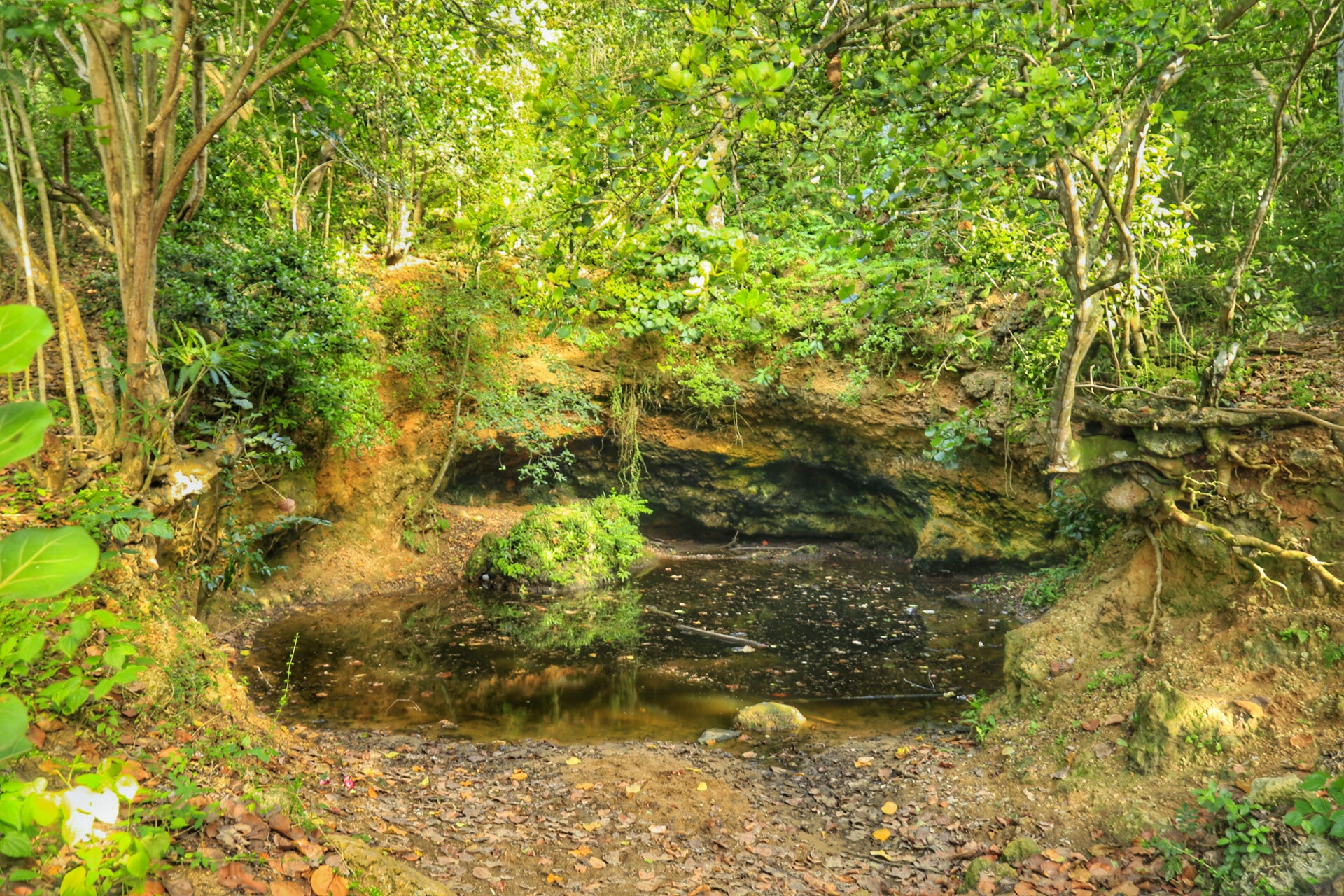 Canon EF 24-105mm F4L IS USM sample photo. Bewitched well (pozo brujo)  photography