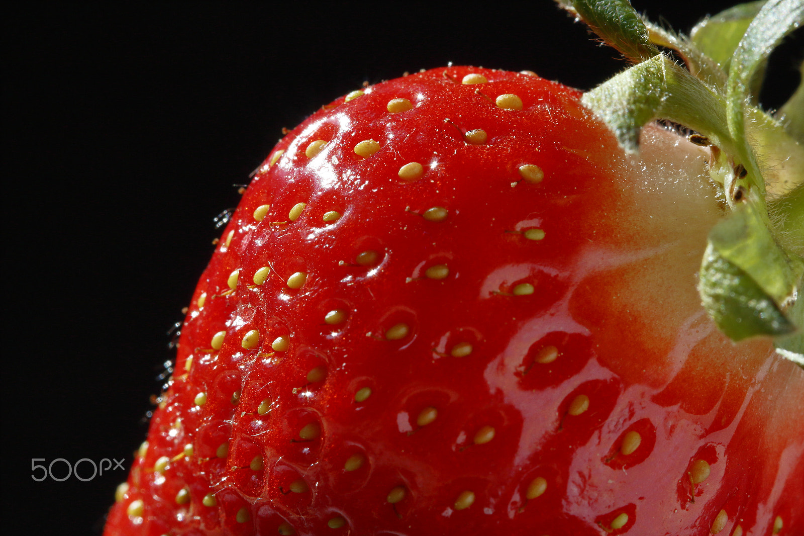Canon EF 100mm F2.8 Macro USM sample photo. Strawberry  photography