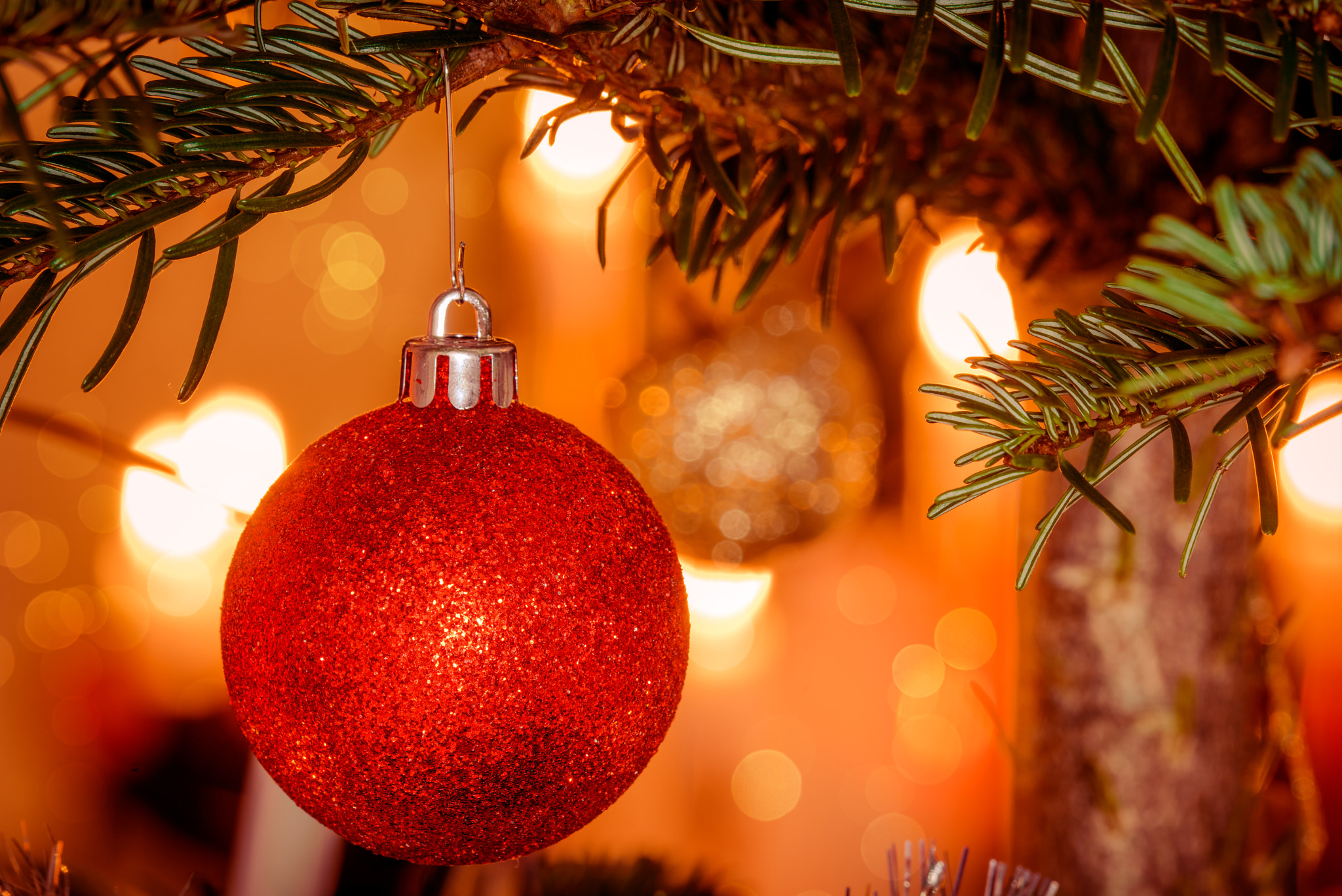 Sony a7R sample photo. Red xmas ball on a christmas tree photography