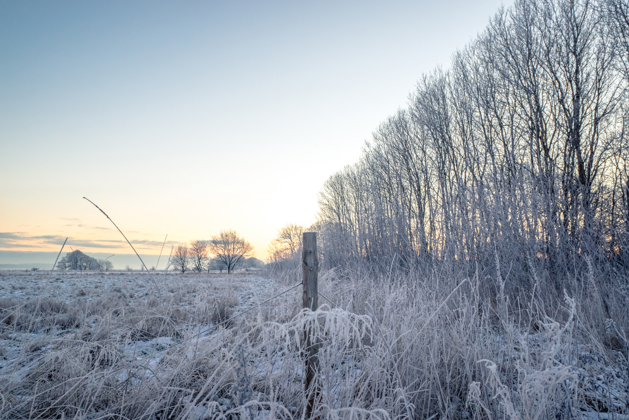 Sony a7R + Sony Vario-Sonnar T* 16-35mm F2.8 ZA SSM sample photo. Fence post on a frosty field photography