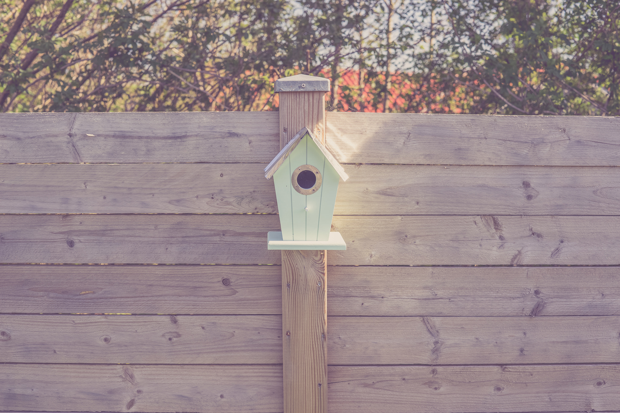 Sony a7R + Sony 50mm F1.4 sample photo. Cute birdhouse on a wooden fence photography