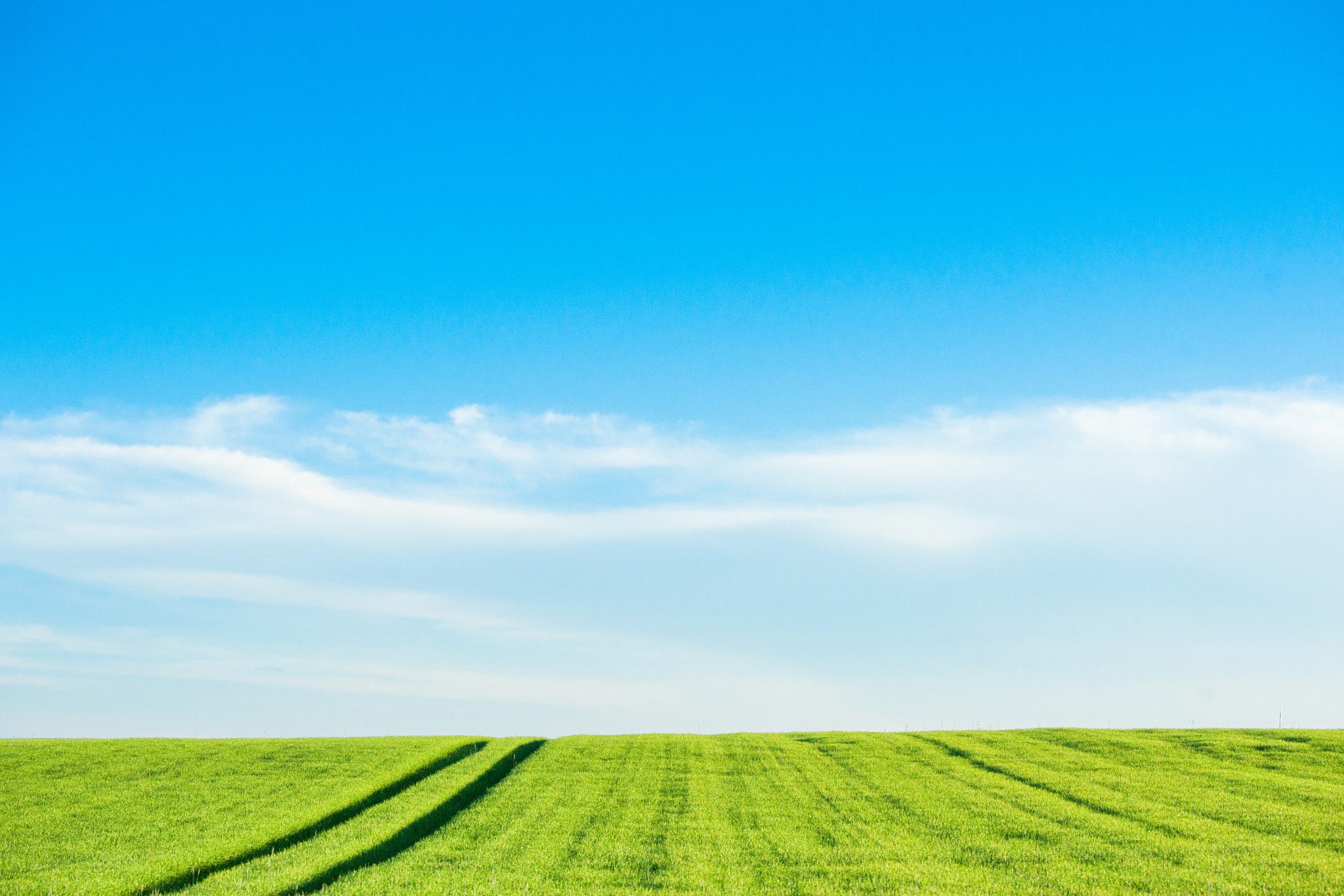 Sony 70-400mm F4-5.6 G SSM II sample photo. Countryside landscape with field tracks photography