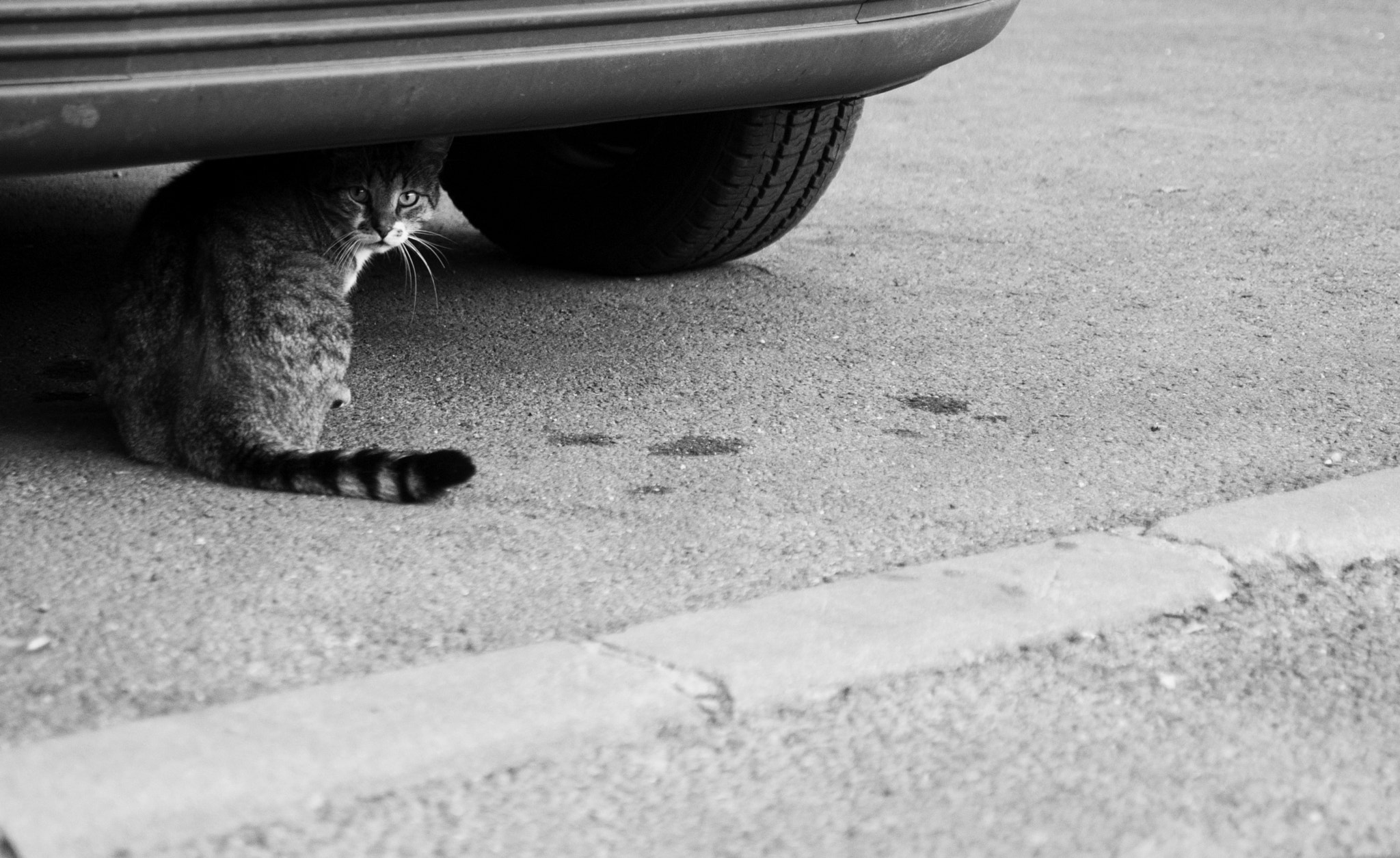 Nikon D3000 sample photo. 27118861943.jpg photography