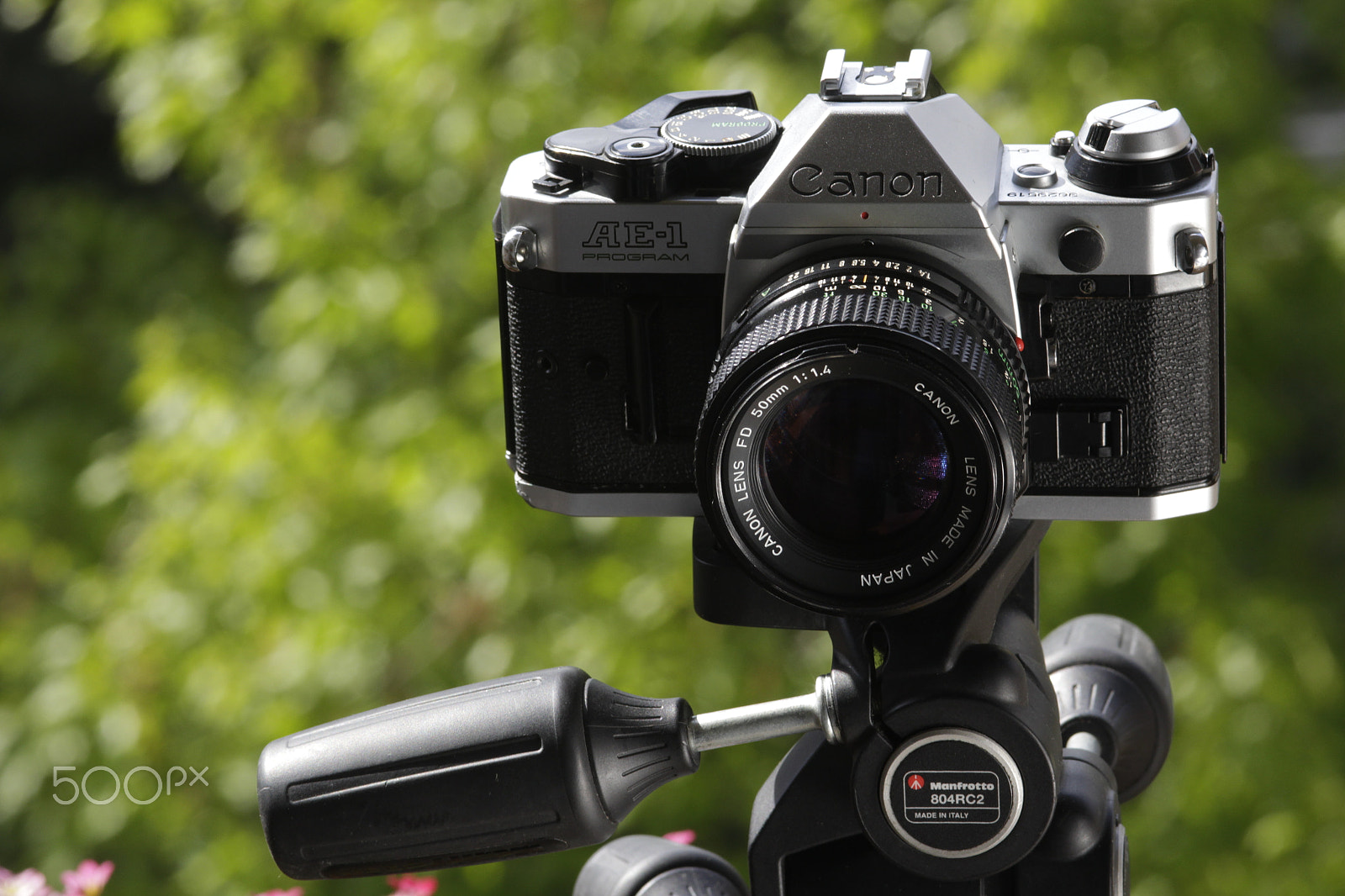 Canon EOS 60D + Sigma 105mm F2.8 EX DG Macro sample photo. Ae 1 program photography