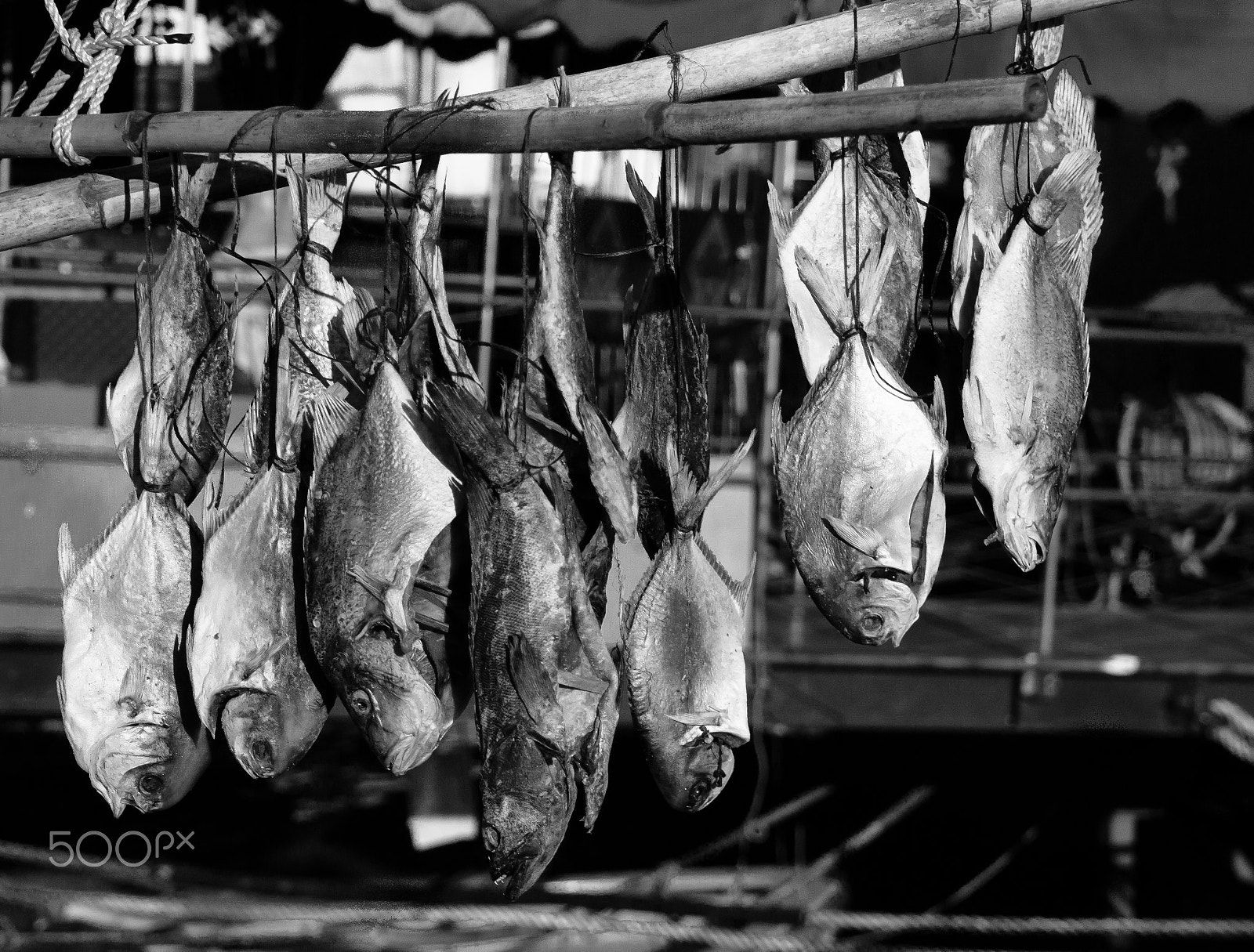 Sony Alpha NEX-7 + Sony Vario-Tessar T* E 16-70mm F4 ZA OSS sample photo. Dry salty fish photography