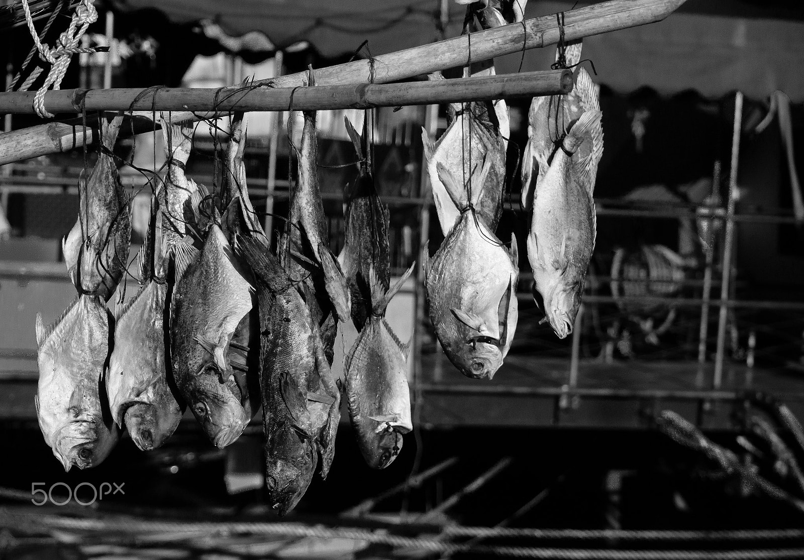 Sony Alpha NEX-7 + Sony Vario-Tessar T* E 16-70mm F4 ZA OSS sample photo. Dry salty fish photography