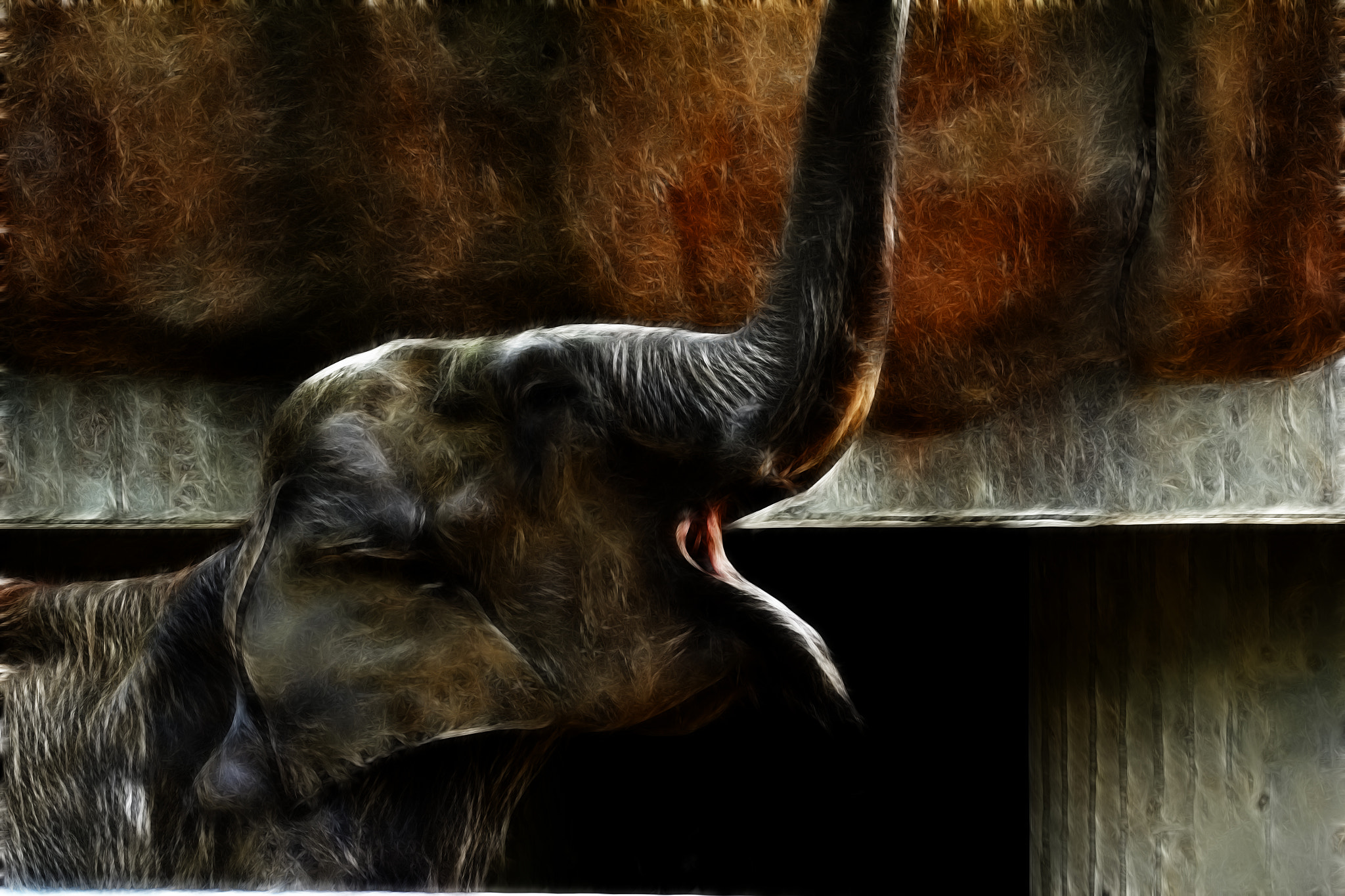 Canon EF 100-400mm F4.5-5.6L IS USM sample photo. Elephant () photography