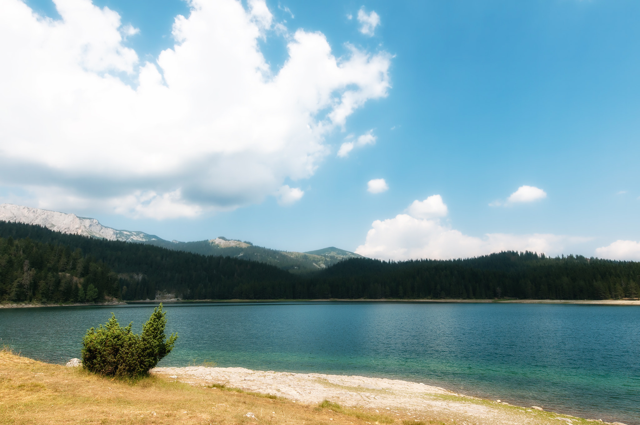 Nikon AF-S Nikkor 14-24mm F2.8G ED sample photo. Beautiful black lake, green forest and beautiful mountains in th photography