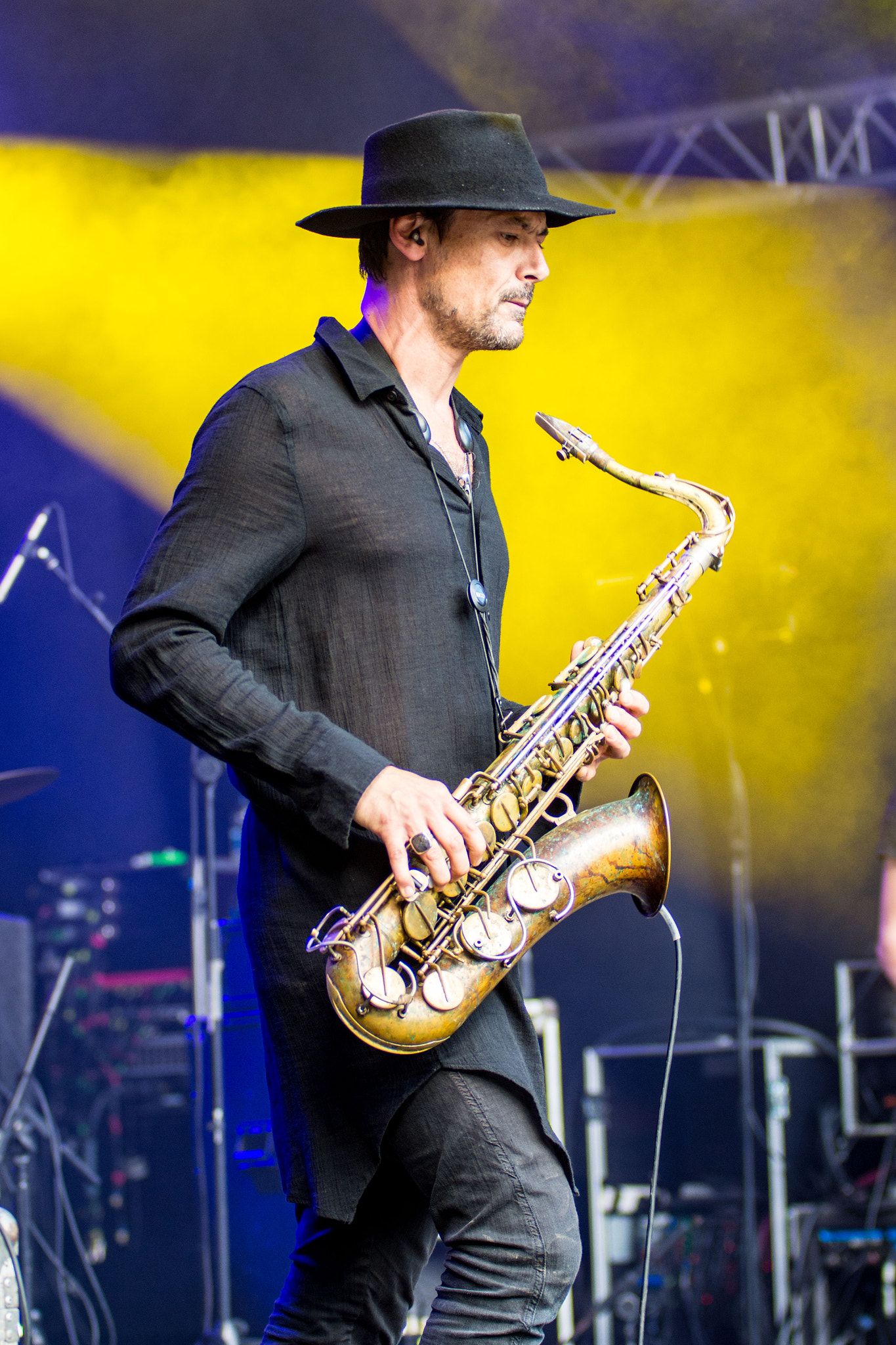 Sigma 70-200mm F2.8 EX DG OS HSM sample photo. Blissfields 2016 photography