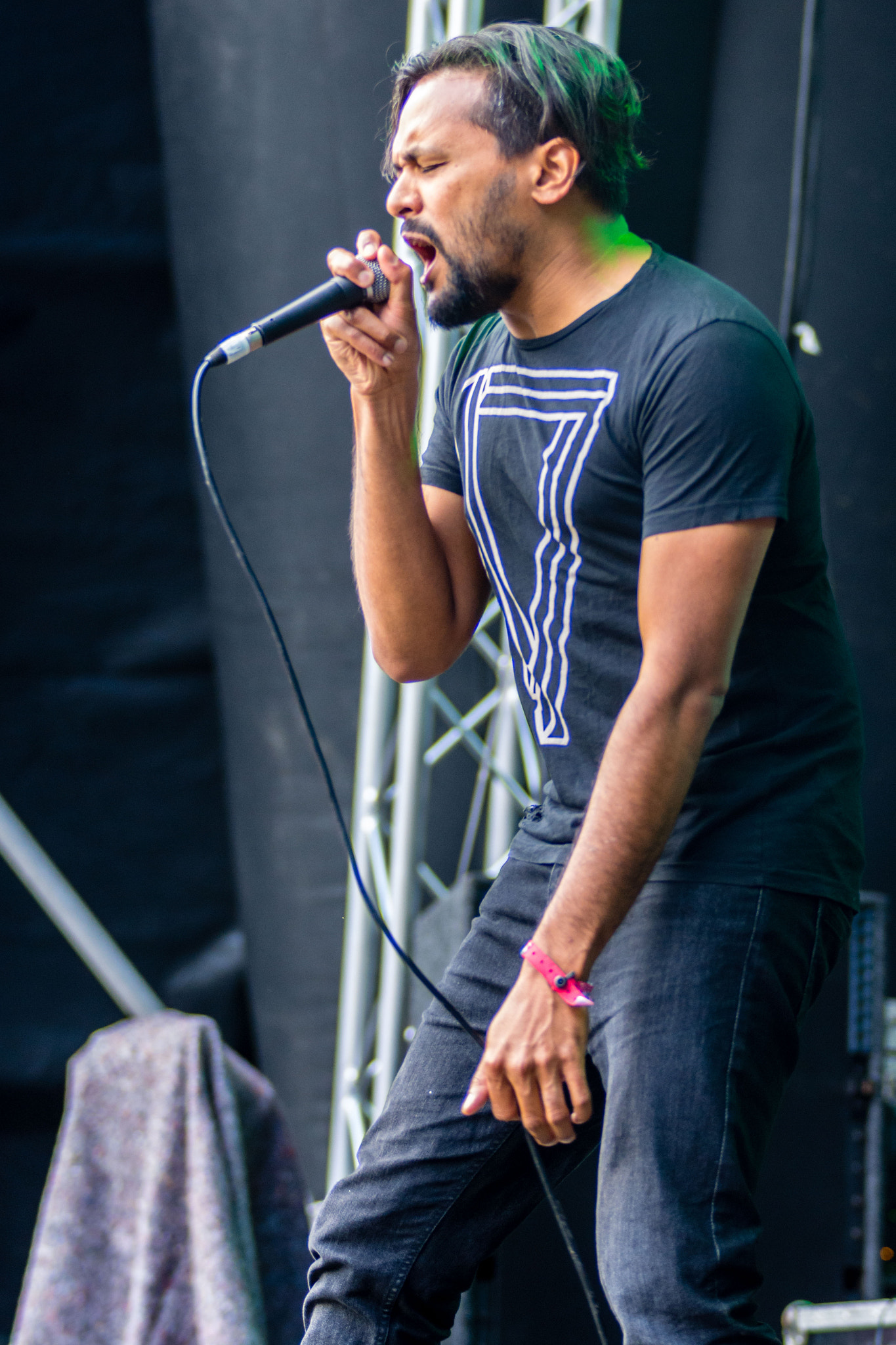 Sigma 70-200mm F2.8 EX DG OS HSM sample photo. Blissfields 2016 photography