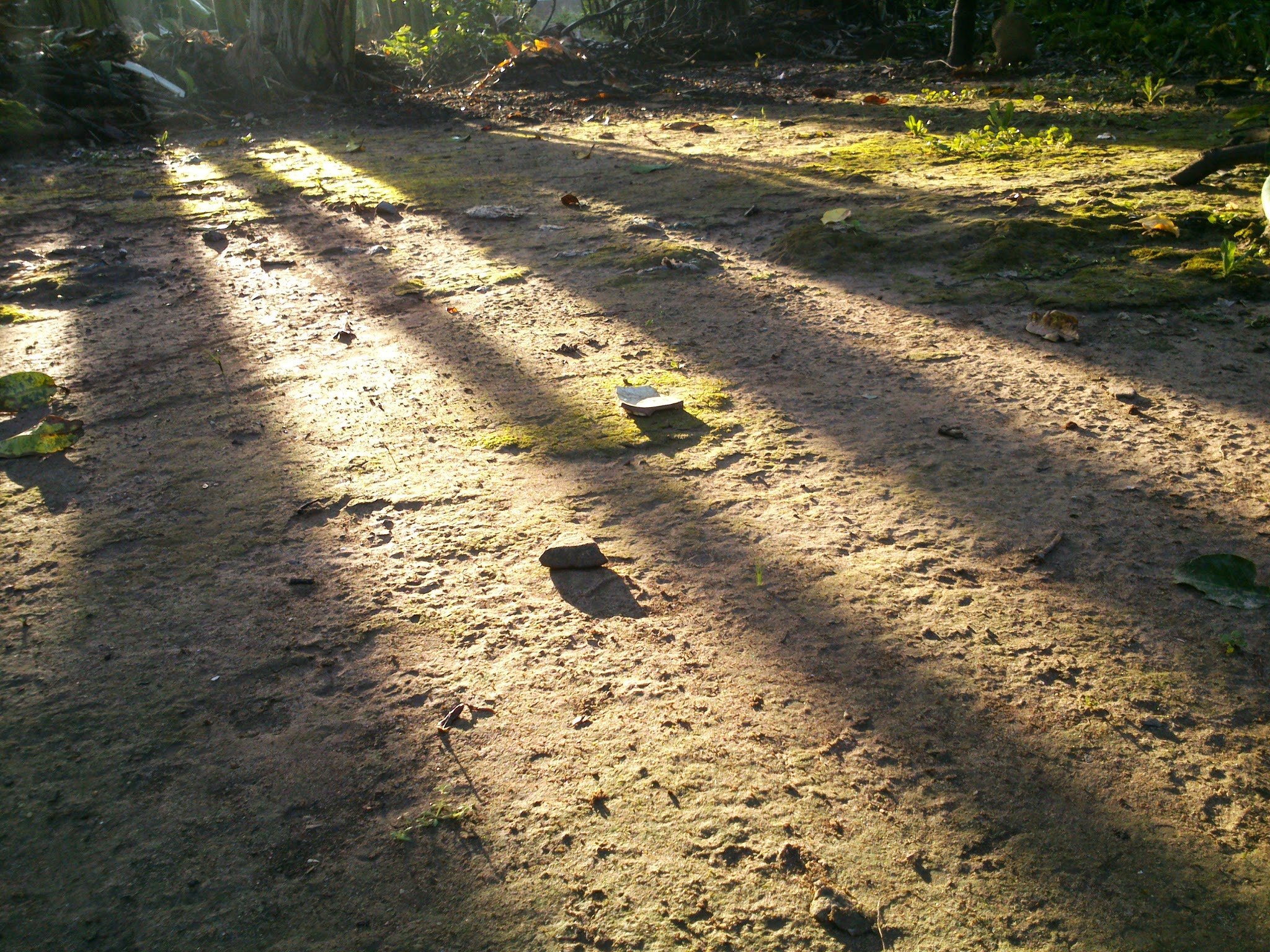 Sony Xperia P sample photo. 16768771974.jpg photography