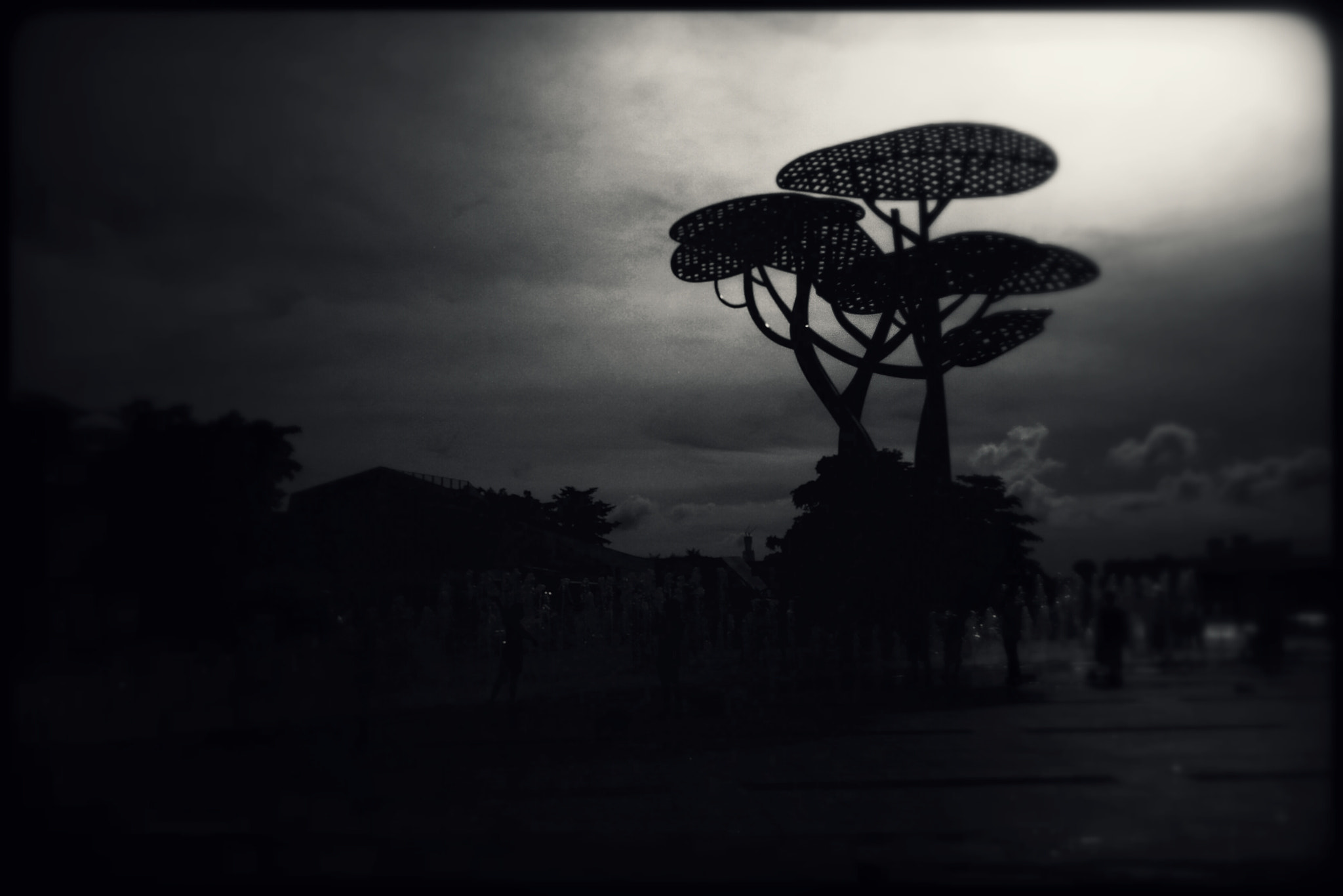 OPPO R7s sample photo. Mushroom photography