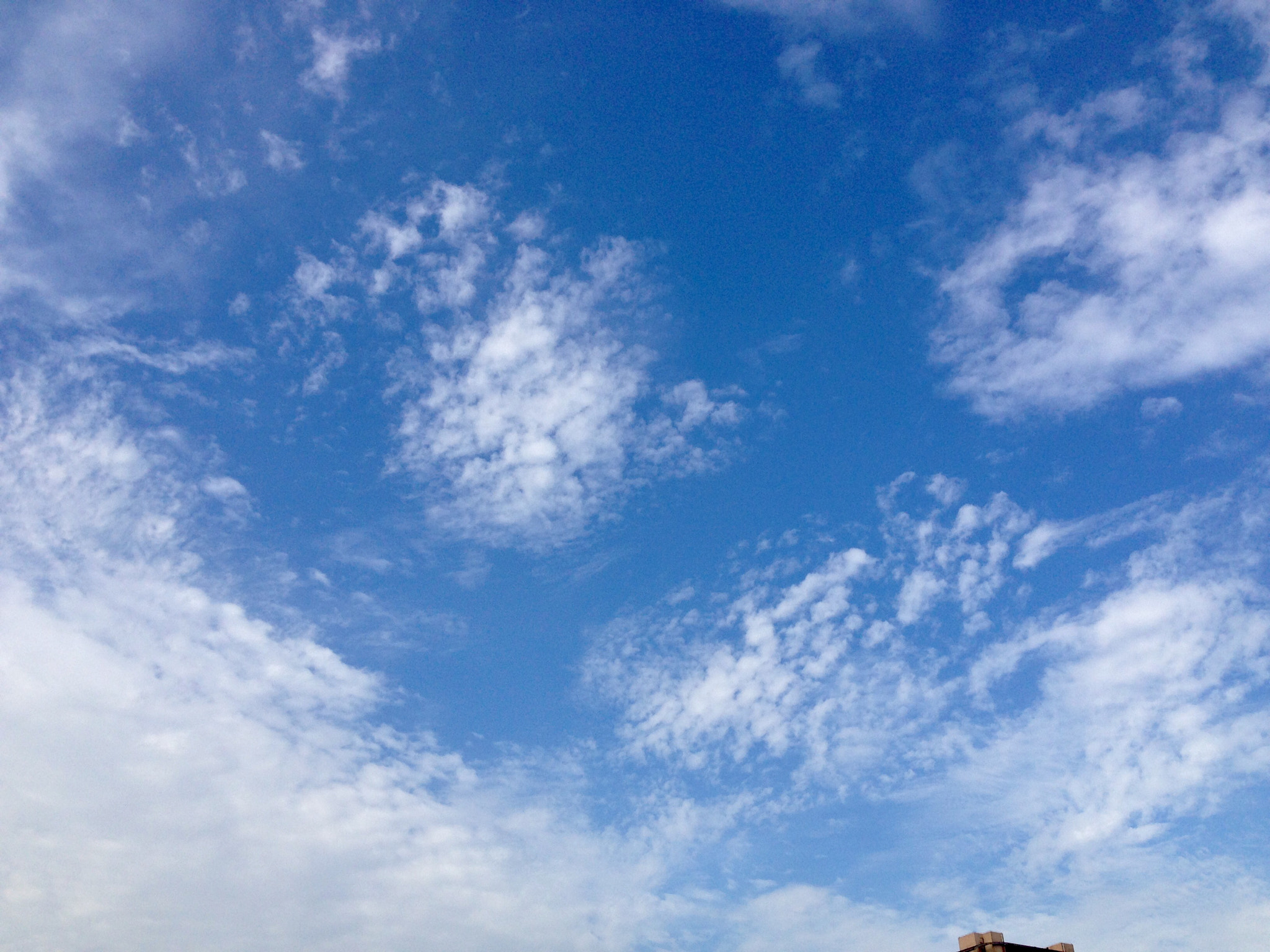 Apple iPhone5,2 sample photo. Blue sky 蓝天 photography