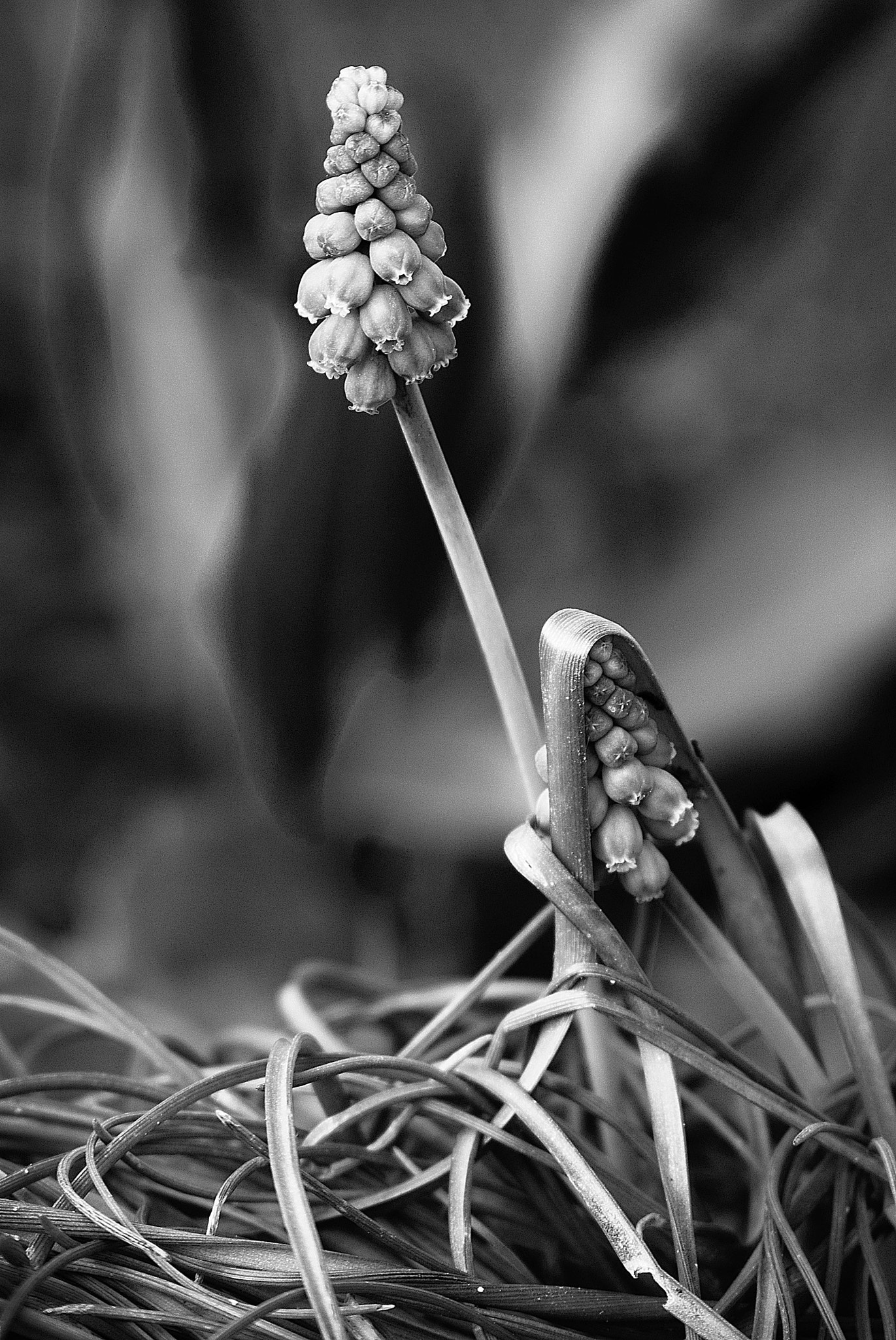 Nikon D3000 sample photo. Untitled photography