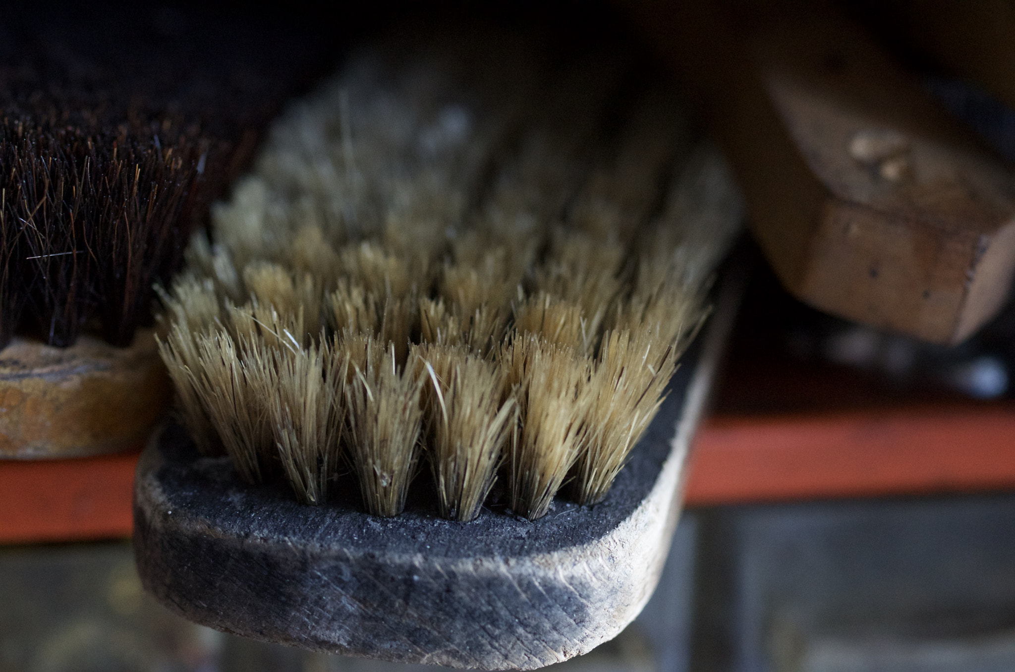 Pentax smc D-FA 50mm F2.8 Macro sample photo. Old brush photography