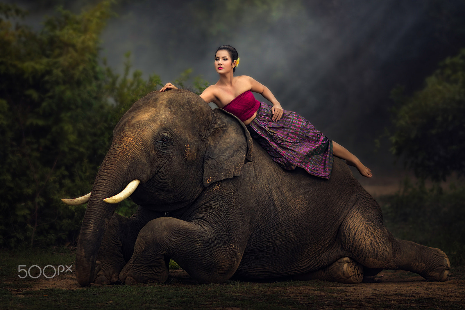 Canon EOS 70D + Canon EF 135mm F2L USM sample photo. Women with elephant. photography
