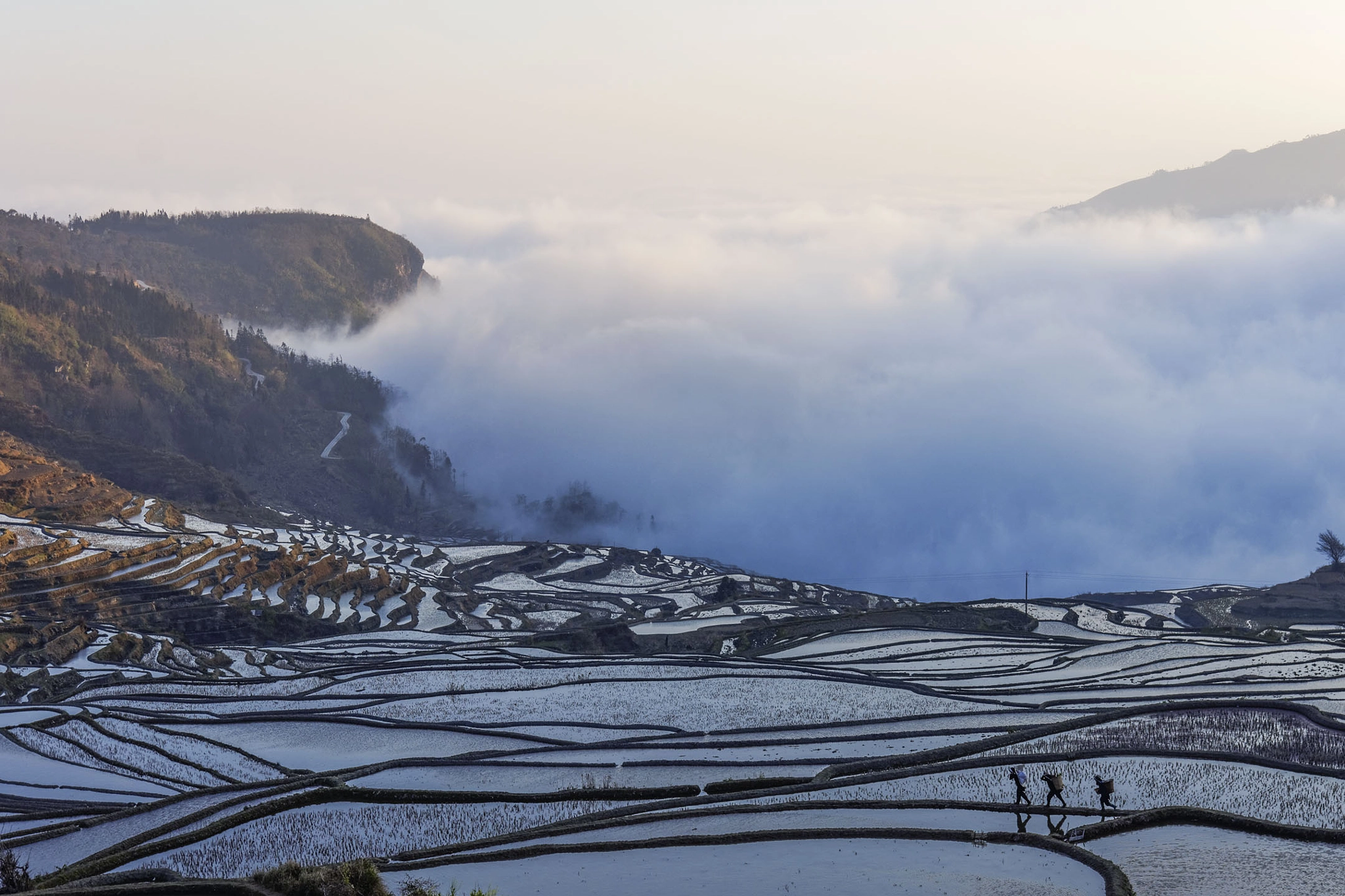 Sony Alpha NEX-7 + Sony Vario-Tessar T* E 16-70mm F4 ZA OSS sample photo. Rice terraces in duoyishu photography