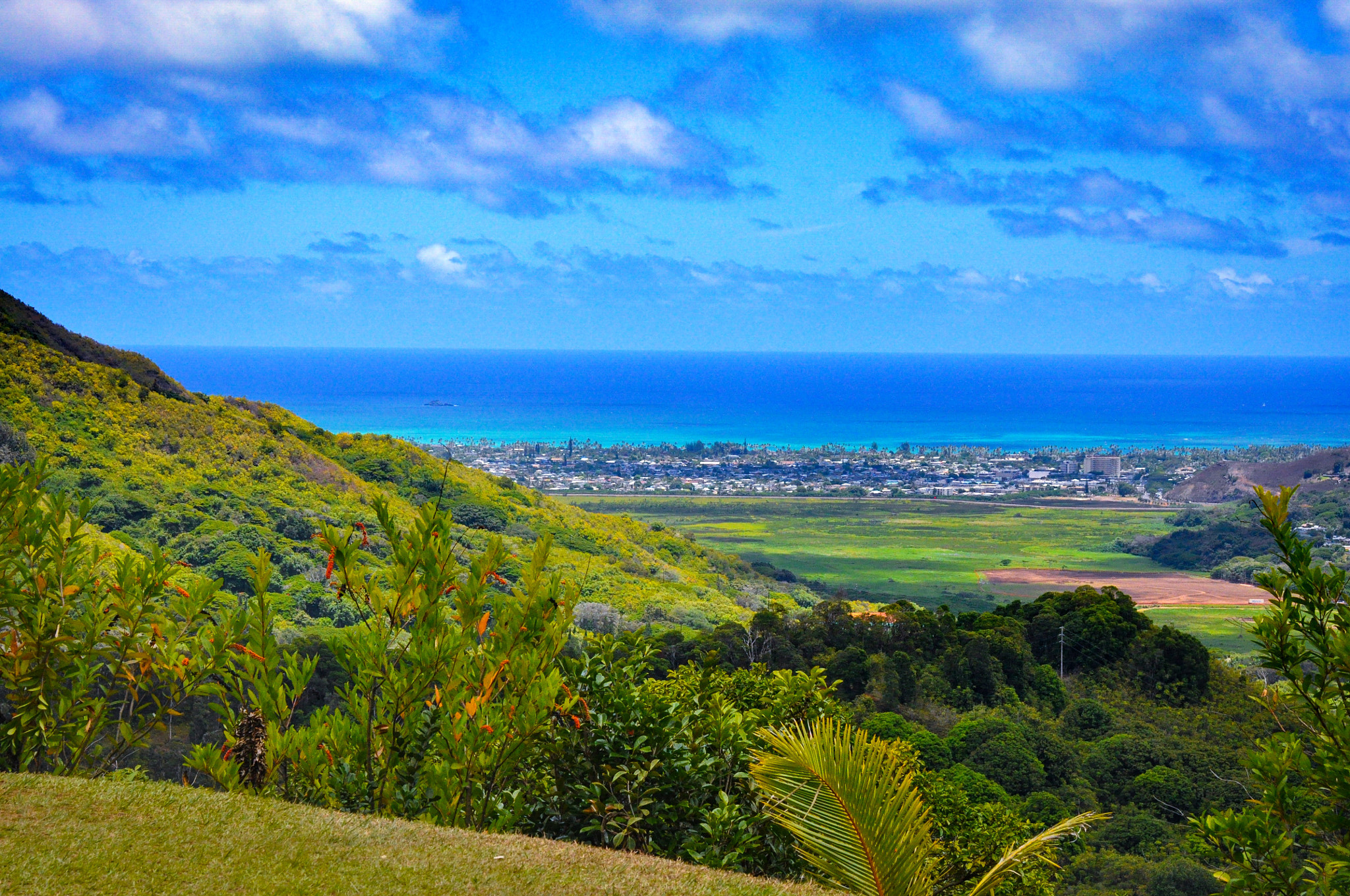 AF Zoom-Nikkor 24-120mm f/3.5-5.6D IF sample photo. Hawaiian memories photography