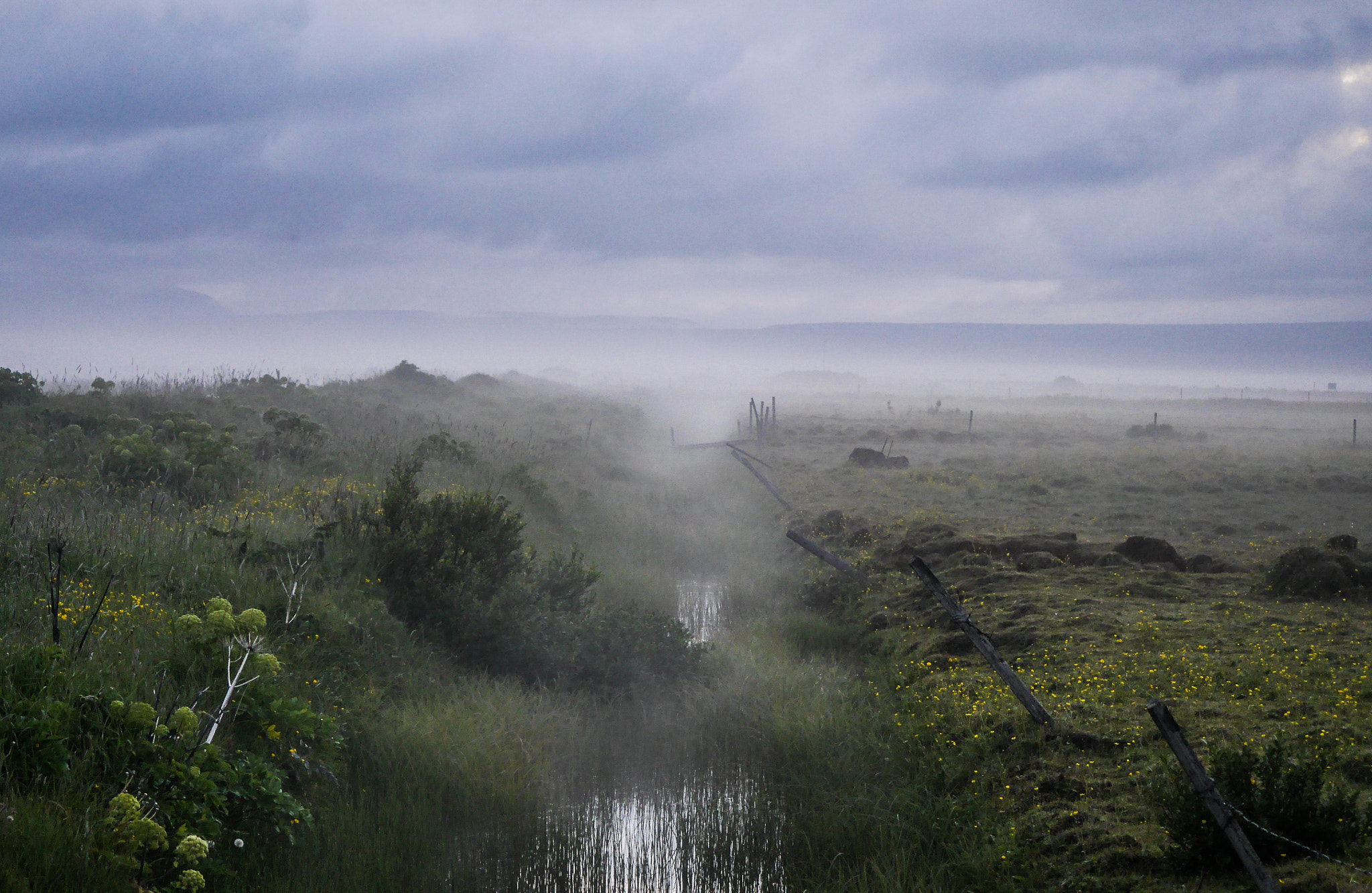 LUMIX G VARIO 45-150/F4.0-5.6 sample photo. Foggy evening photography