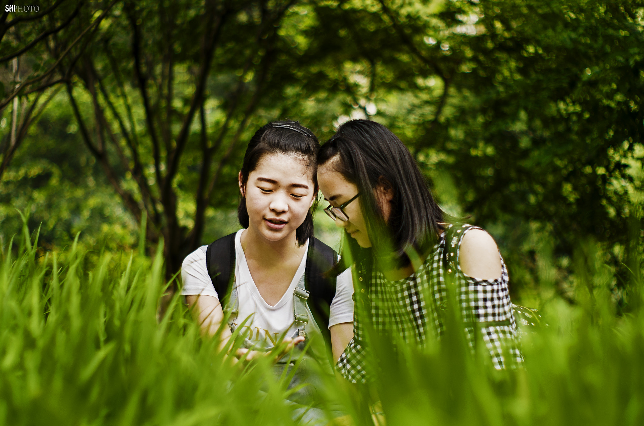Pentax K-50 + A Series Lens sample photo. In green photography