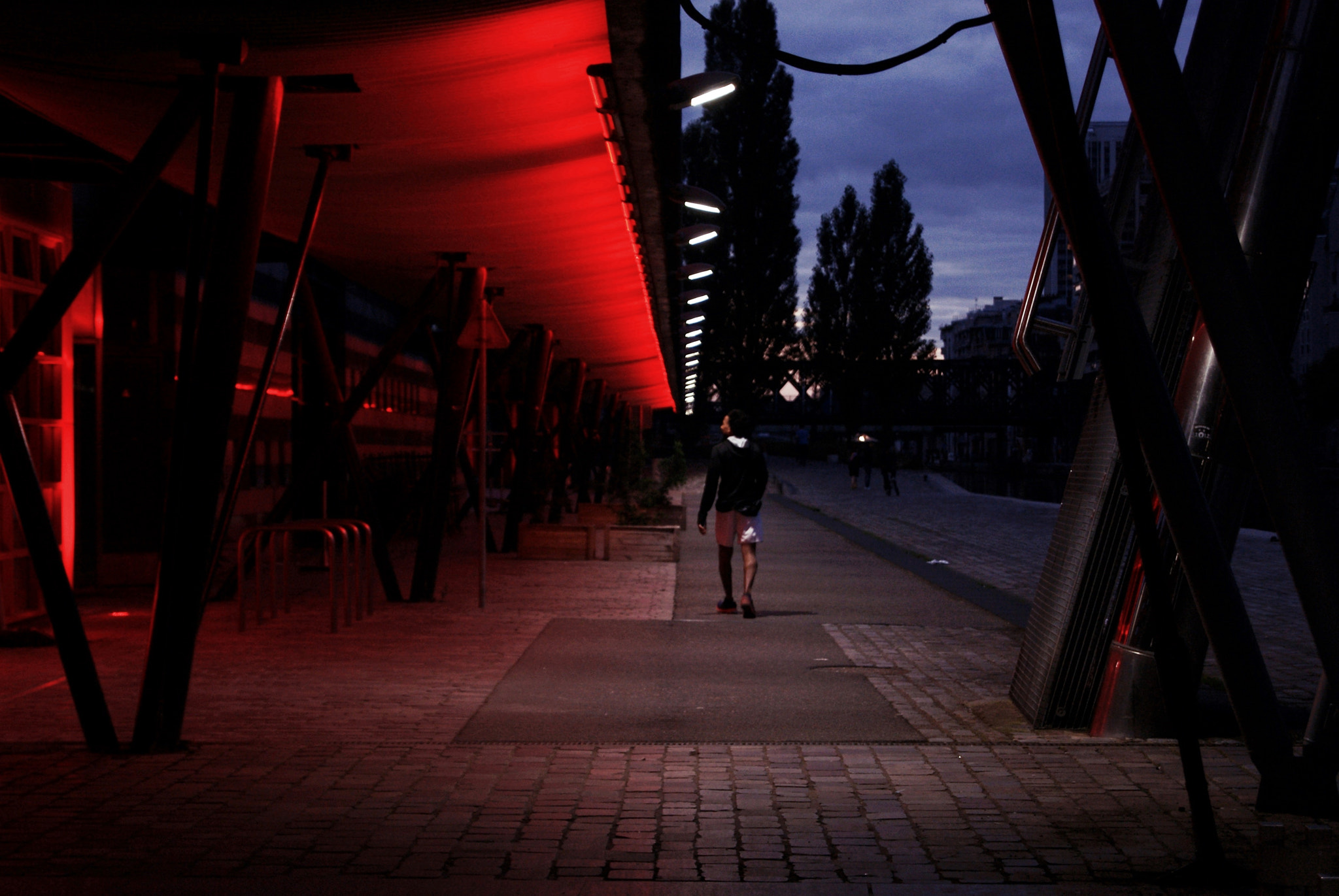 Sony Alpha DSLR-A330 sample photo. * photography