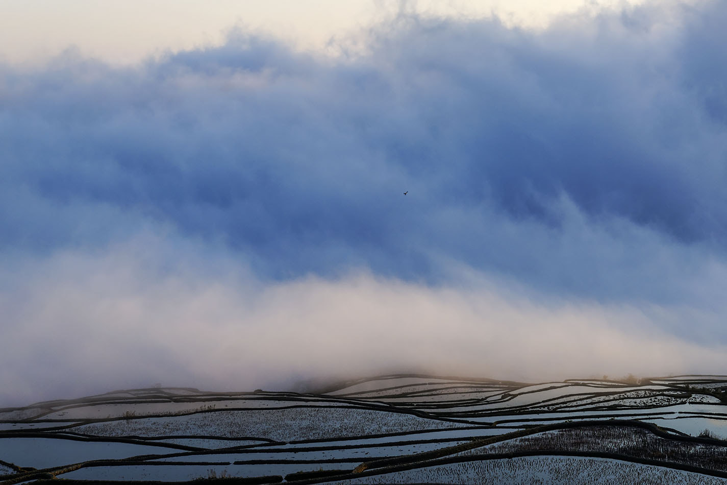 Sony Alpha a3000 + Sony Vario-Tessar T* E 16-70mm F4 ZA OSS sample photo. Morning fog in duoyishu photography