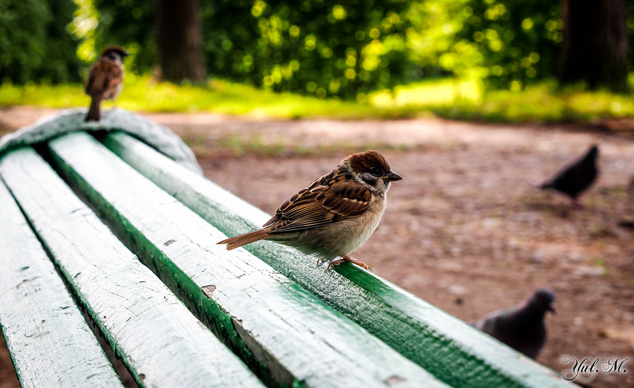 Panasonic Lumix G X Vario 12-35mm F2.8 ASPH Power OIS sample photo. Olympus digital camera photography