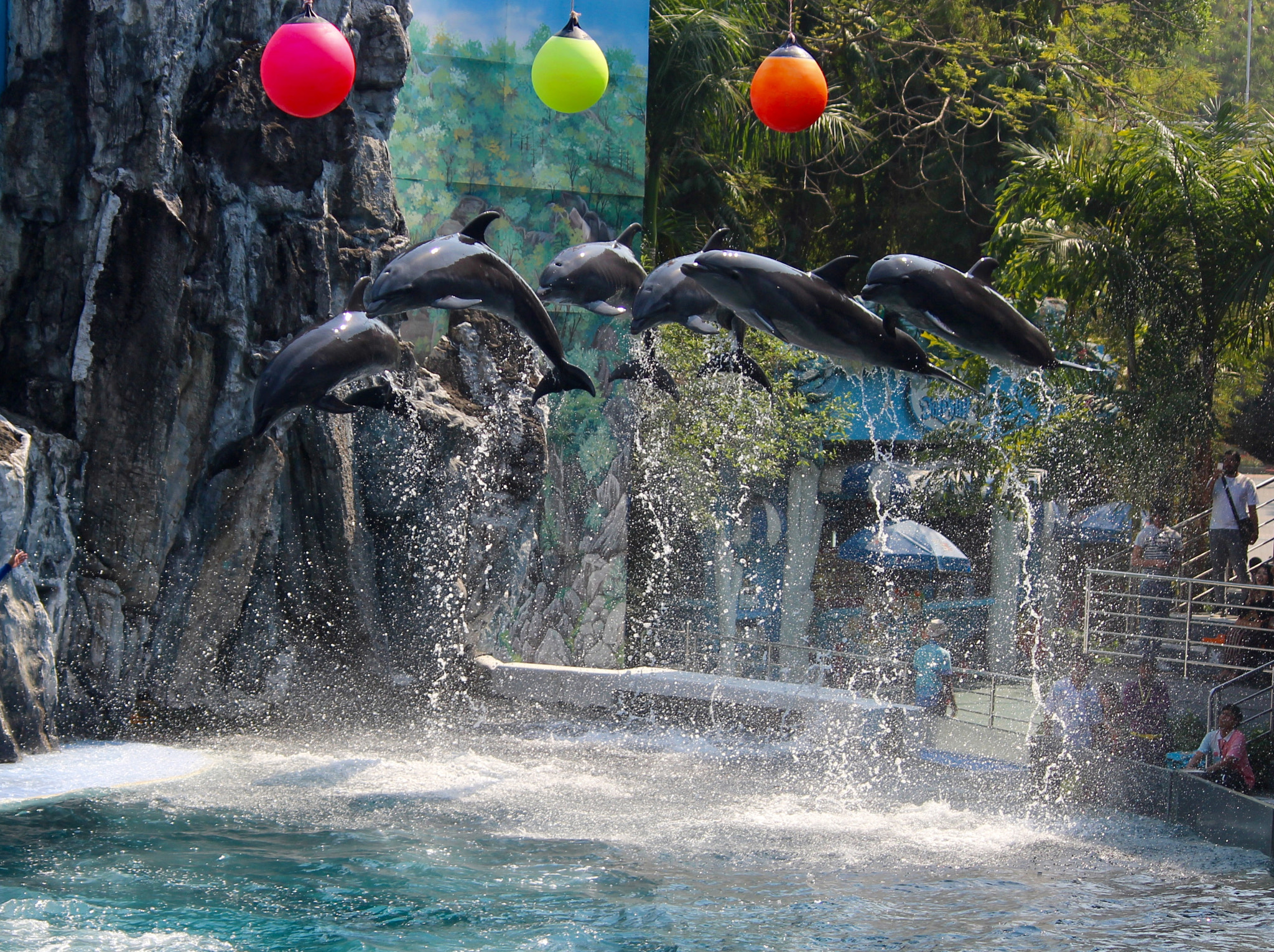 Canon EF-S 55-250mm F4-5.6 IS II sample photo. How can photography