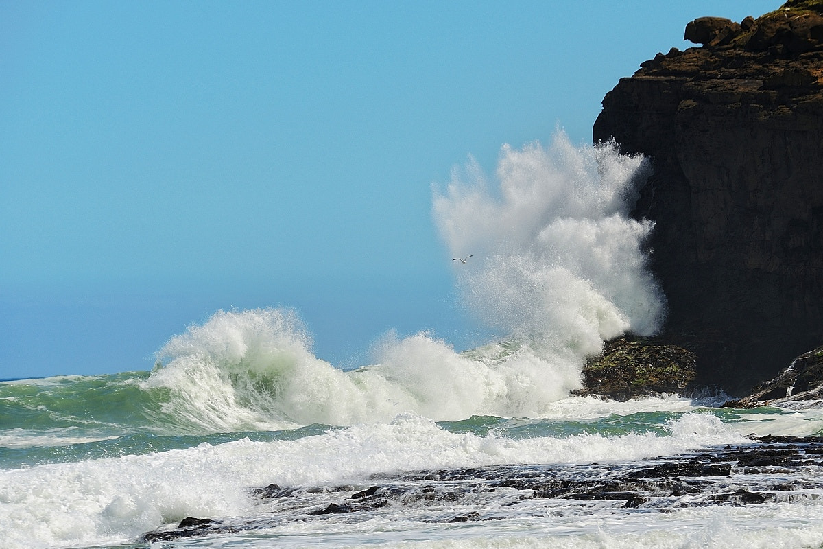 Nikon D700 + Sigma APO 100-300mm F4 EX IF HSM sample photo. Crashing waves photography