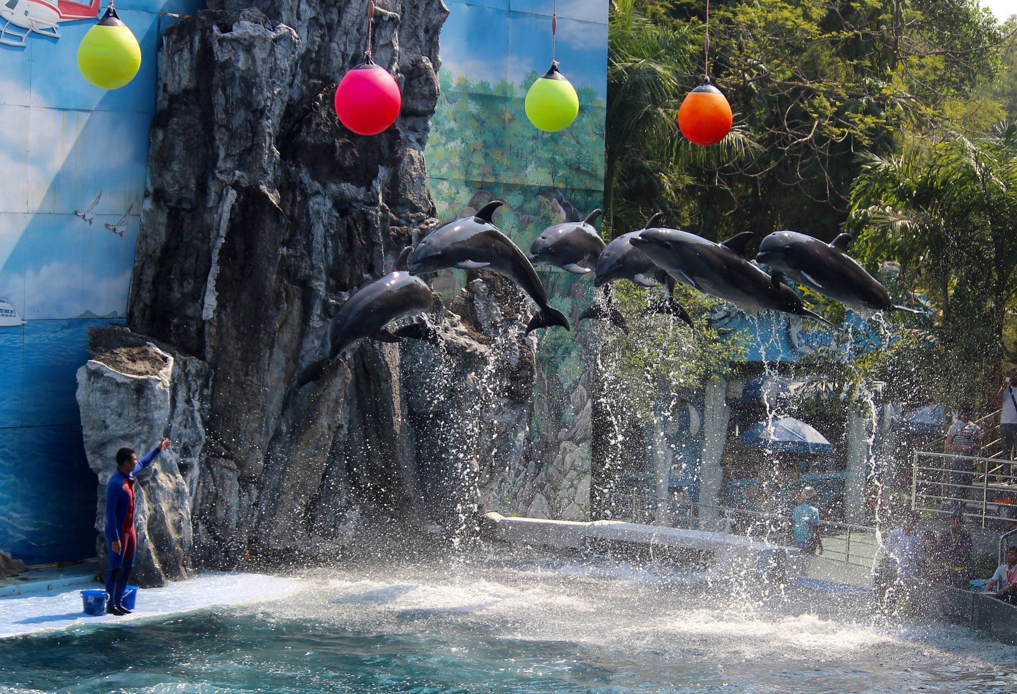 Canon EF-S 55-250mm F4-5.6 IS II sample photo. The dolphin show - bangkok photography
