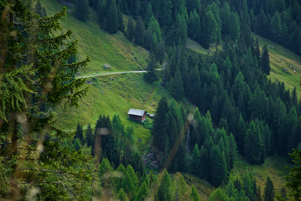 Canon EOS-1Ds Mark II sample photo. House in the mountains photography