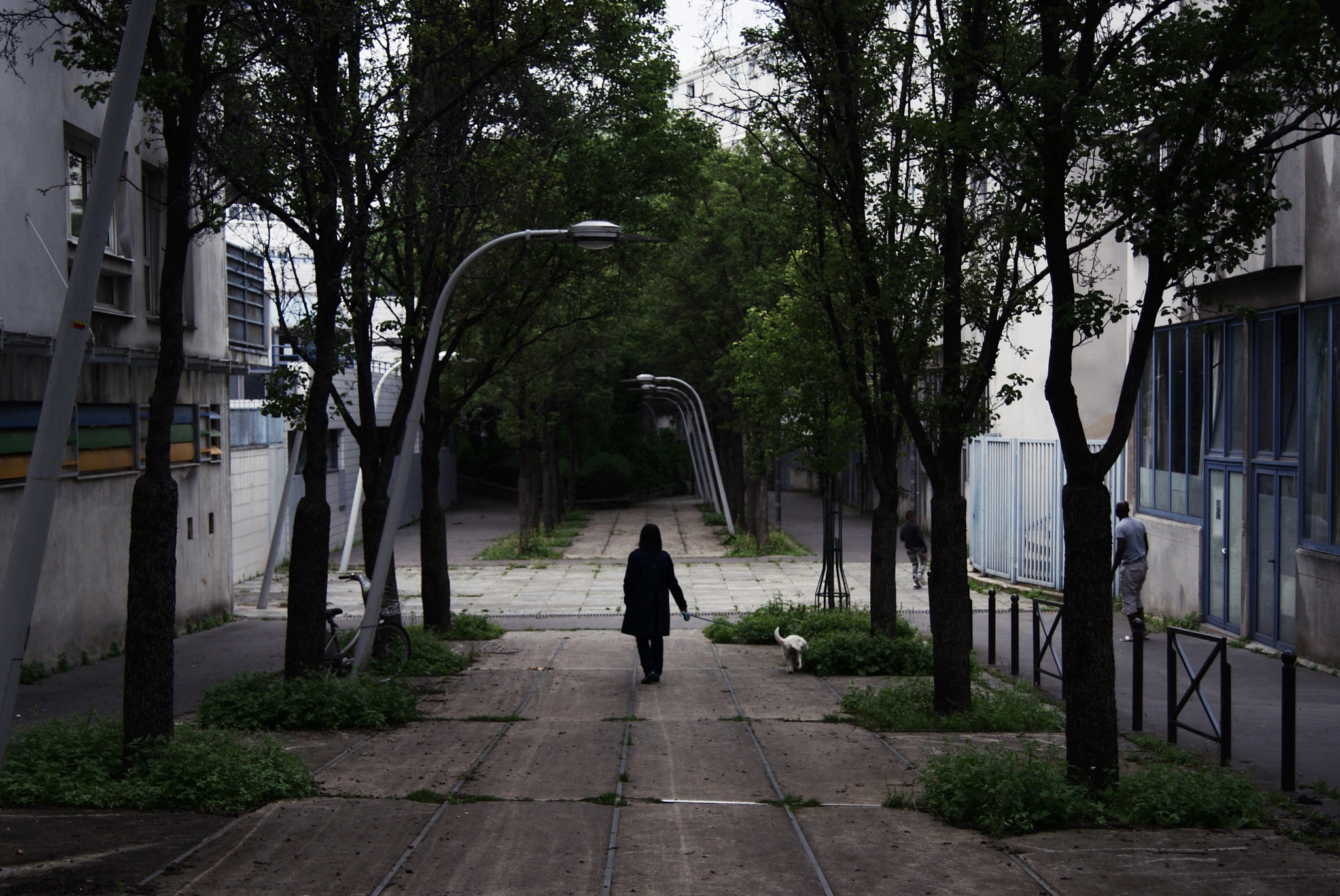Sony DT 18-55mm F3.5-5.6 SAM sample photo. * photography