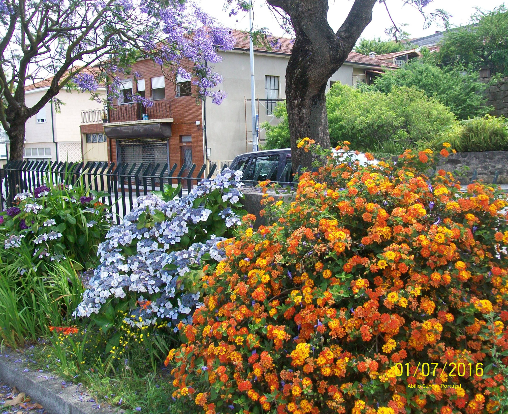 Kodak EasyShare C913 sample photo. Flores  do norte de portugal photography