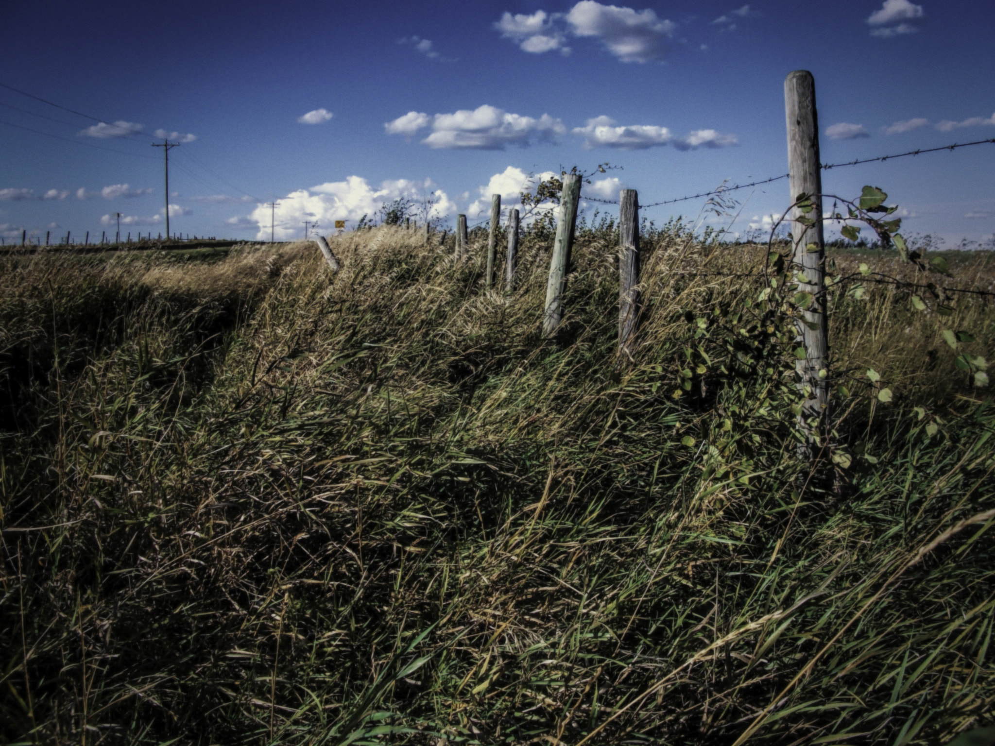 Fujifilm A170 A180 sample photo. Barbedwire fence photography