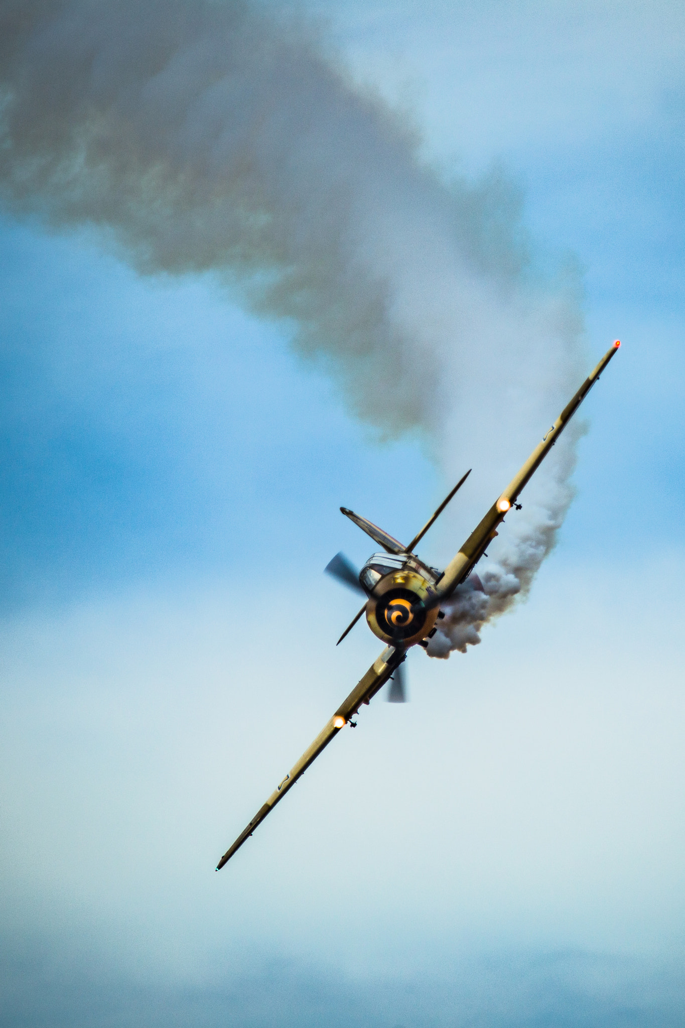 Canon EF 70-200mm F2.8L USM sample photo. Aeromania 2016 photography