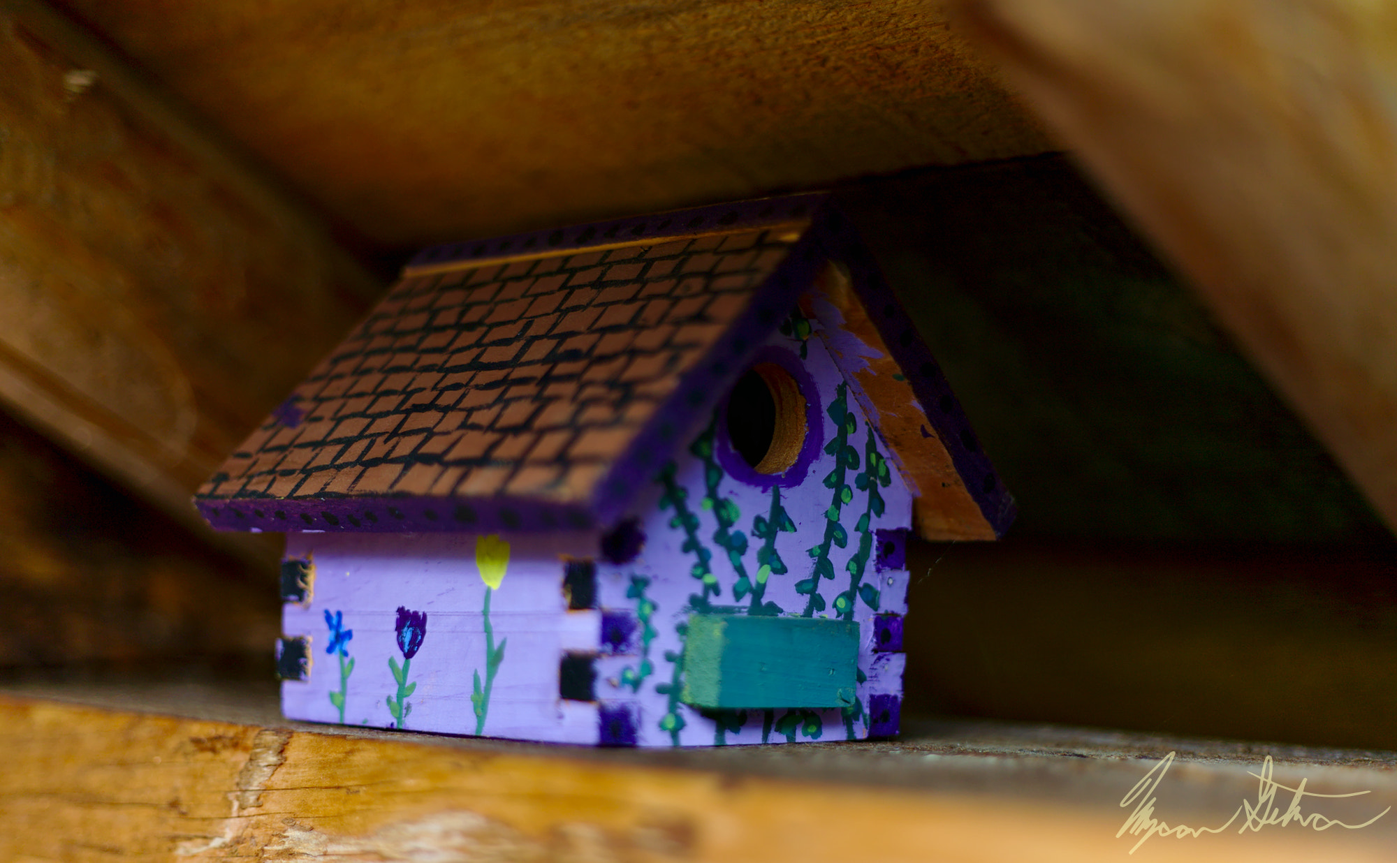 Canon EOS 5D + Canon EF 50mm F1.8 II sample photo. Birdhouse in a log cabin photography