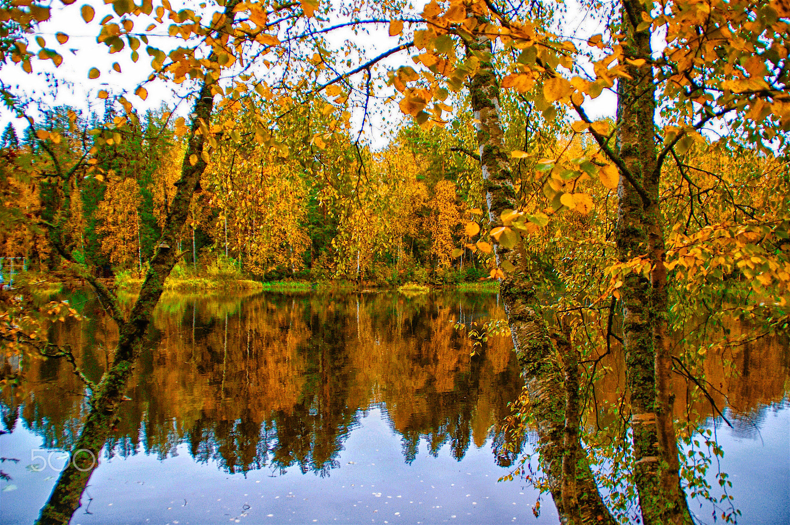 Sony DT 18-200mm F3.5-6.3 sample photo. Осень photography