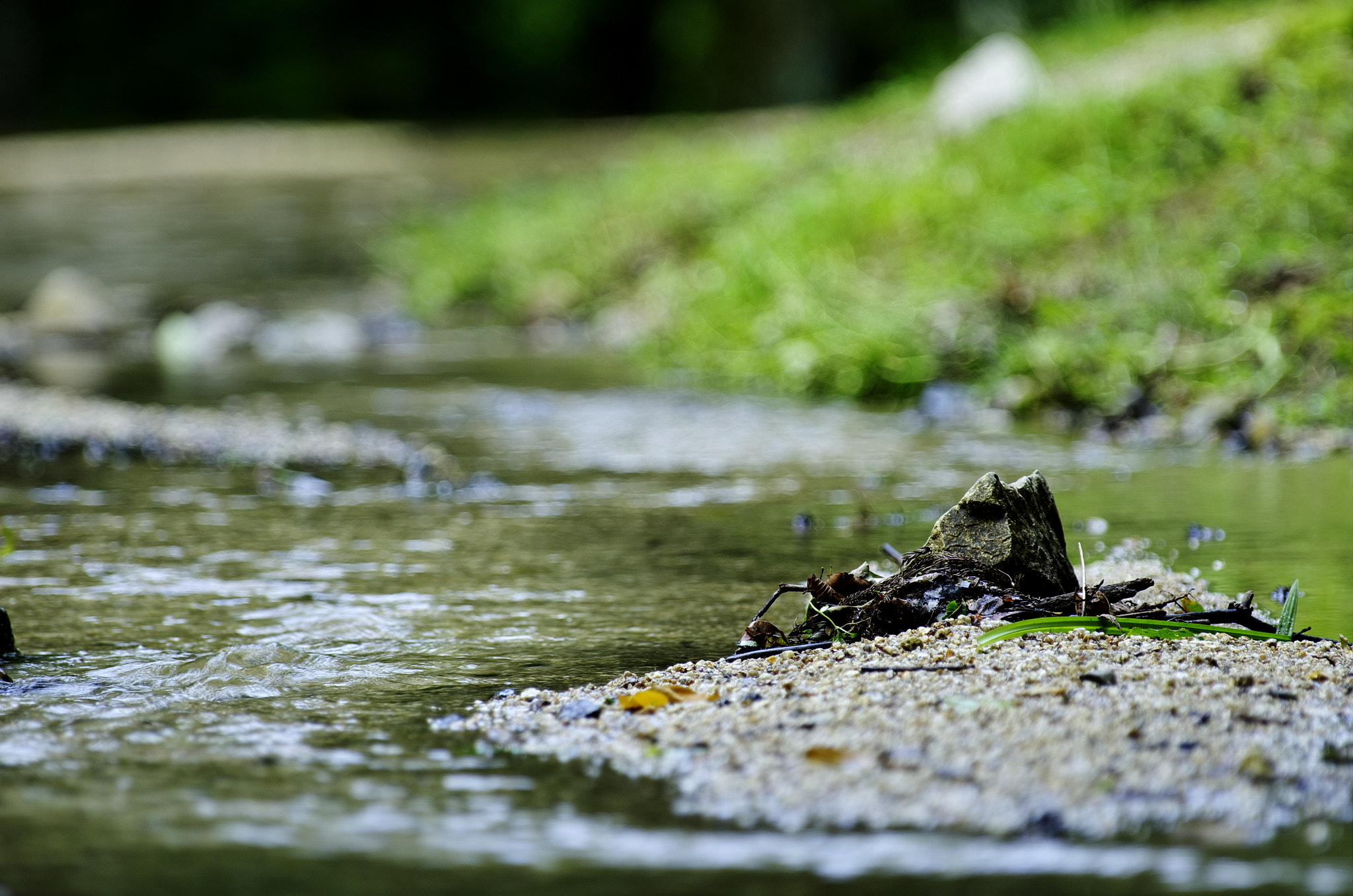 Pentax K-5 II sample photo. S line photography