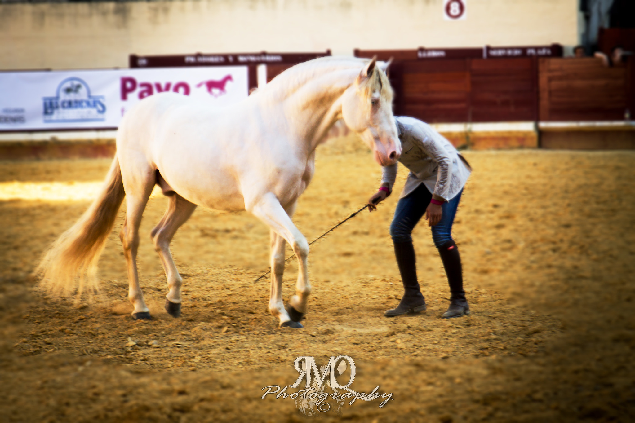 Canon EF 28-135mm F3.5-5.6 IS USM sample photo. Arlequi with santi serra photography