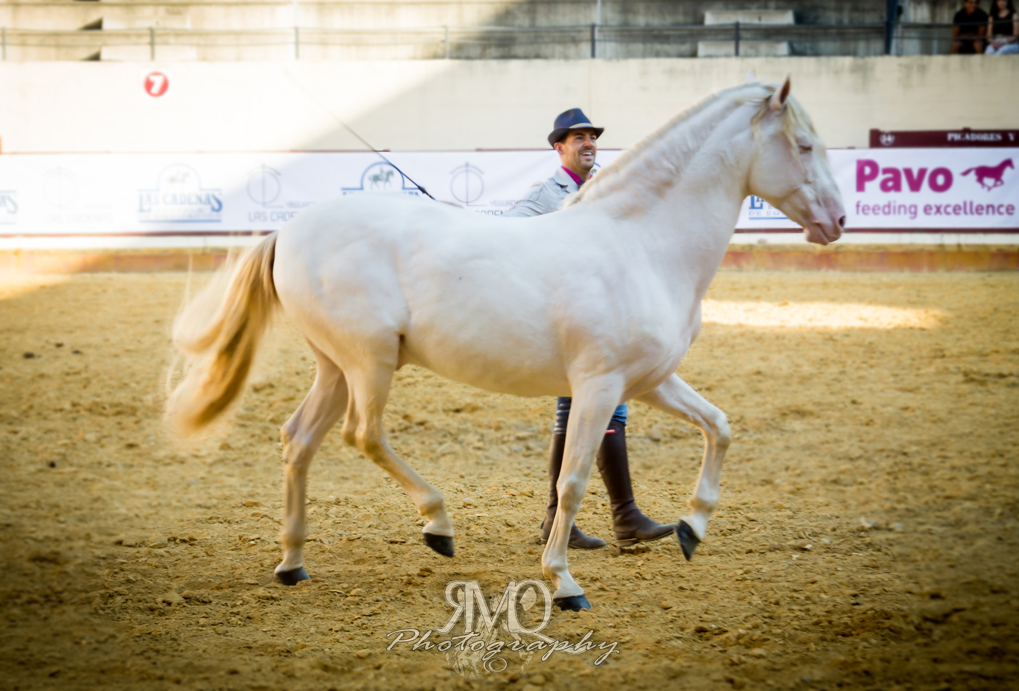Canon EF 28-135mm F3.5-5.6 IS USM sample photo. Piaffe of arlequi with santi serra photography